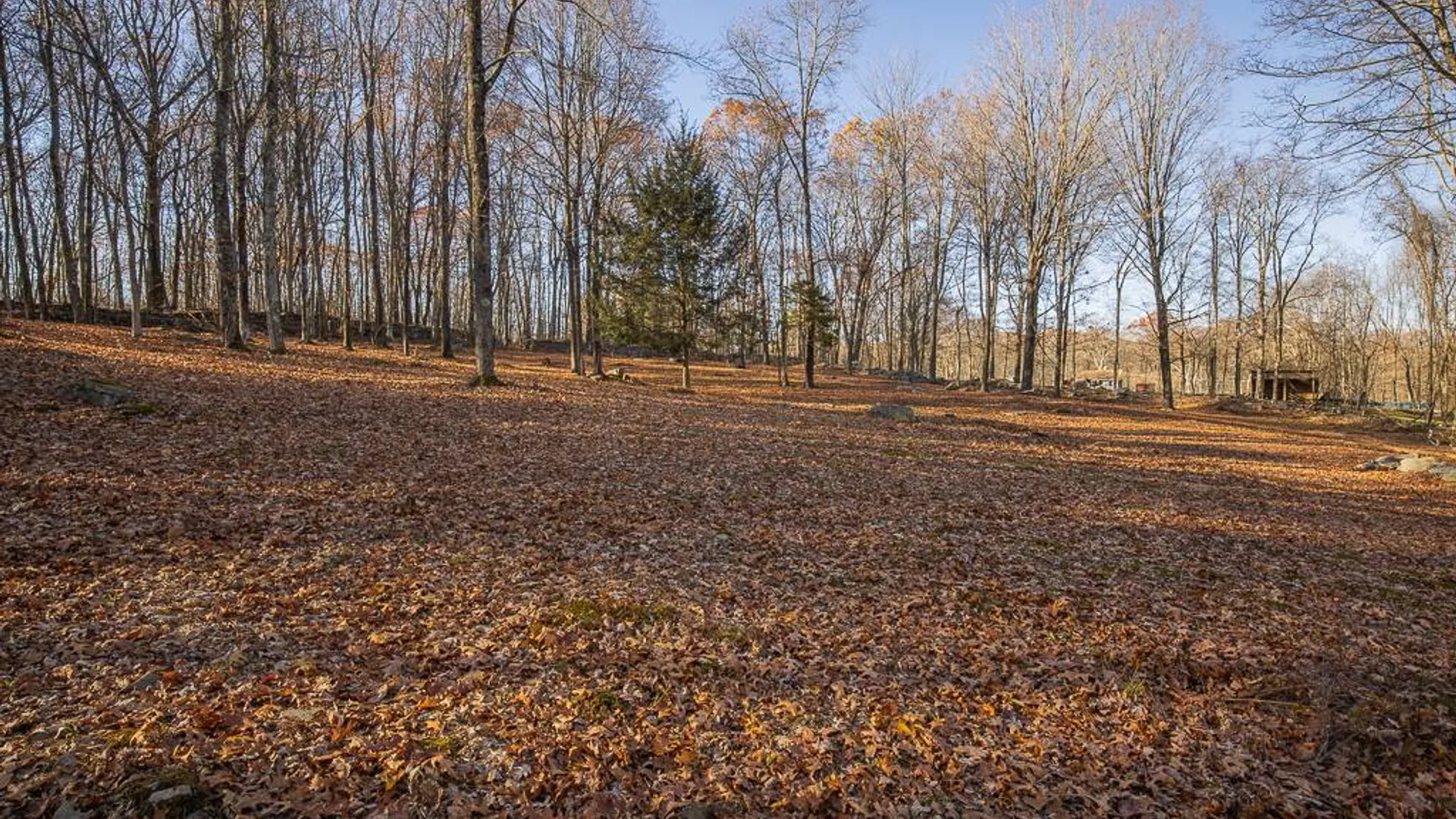 Property at 355 Fosler Rd, Wallkill, NY 12589 25