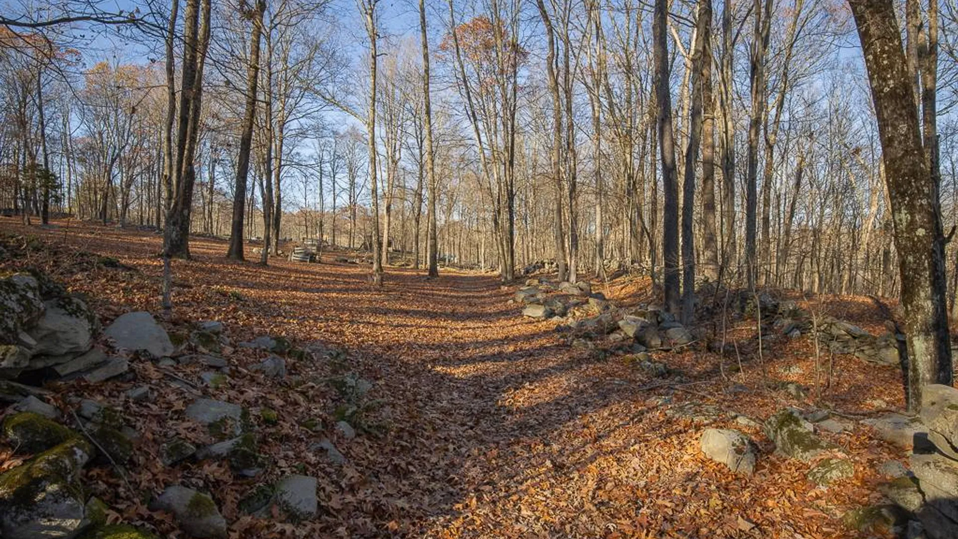 Property at 355 Fosler Rd, Wallkill, NY 12589 31