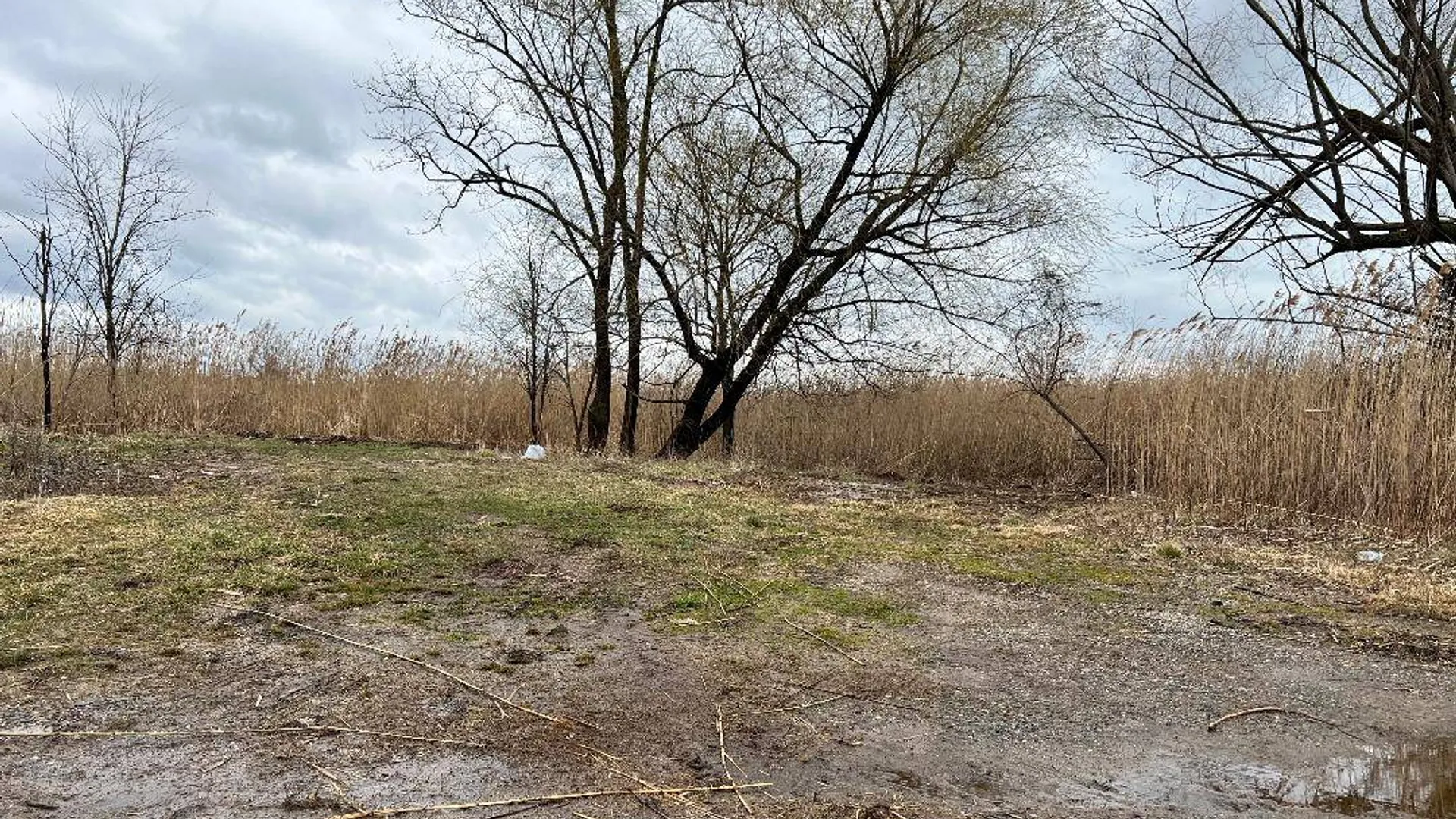 Property at 0 Kissam Ave, Staten Island, NY 10306 2