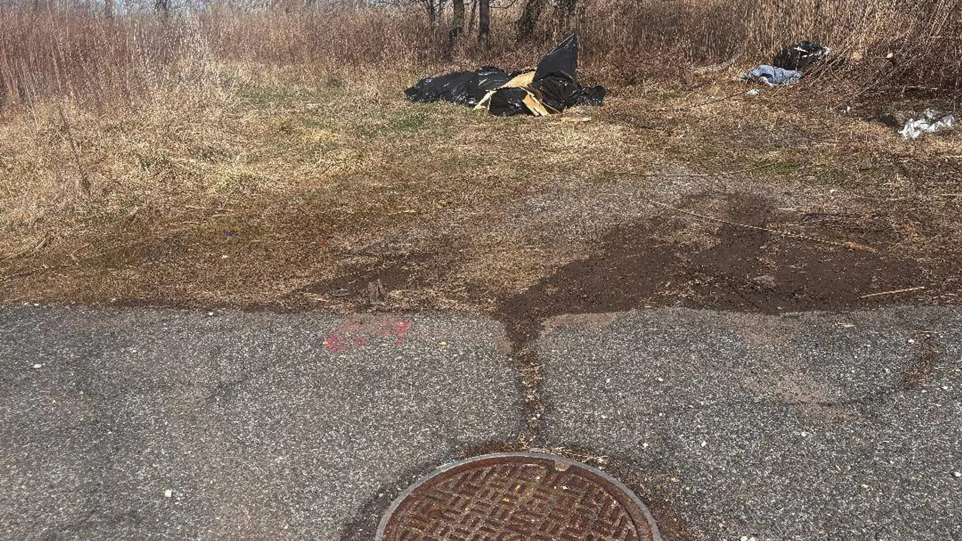 Property at 0 Kissam Ave, Staten Island, NY 10306 3