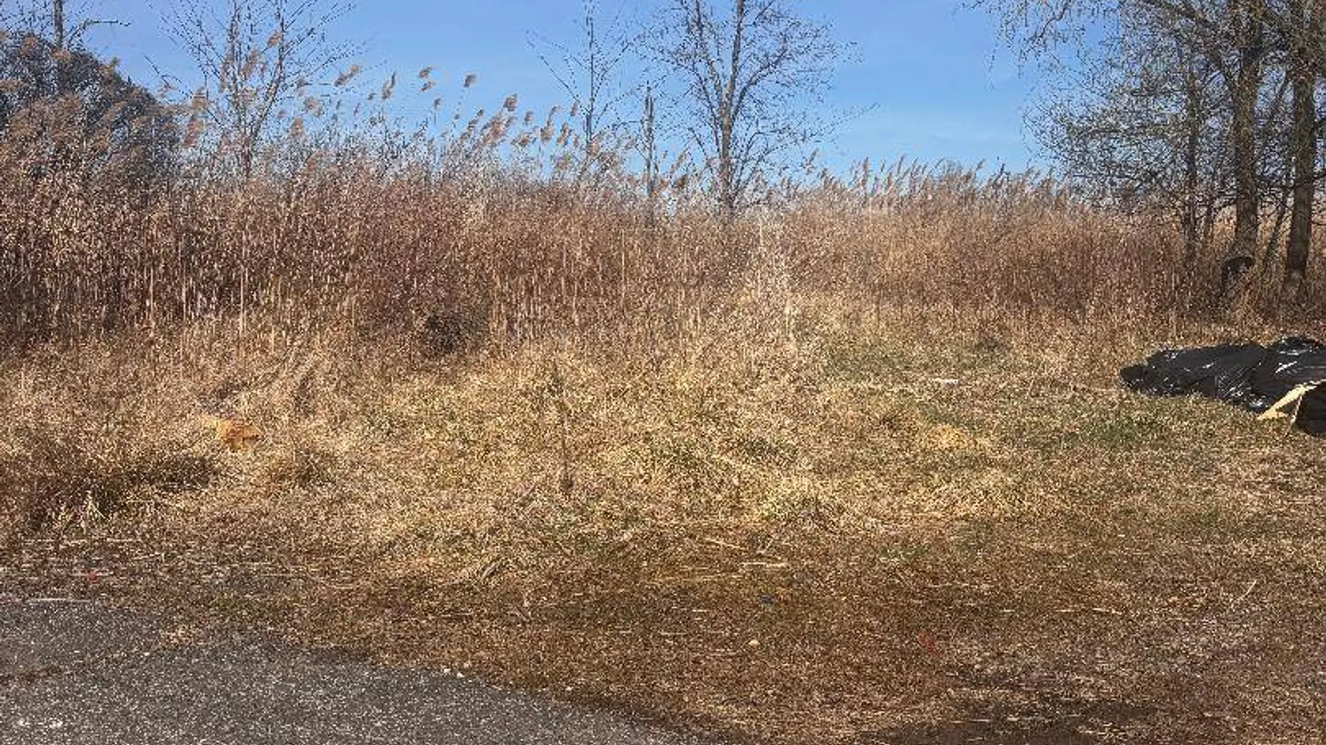 Property at 0 Kissam Ave, Staten Island, NY 10306 5