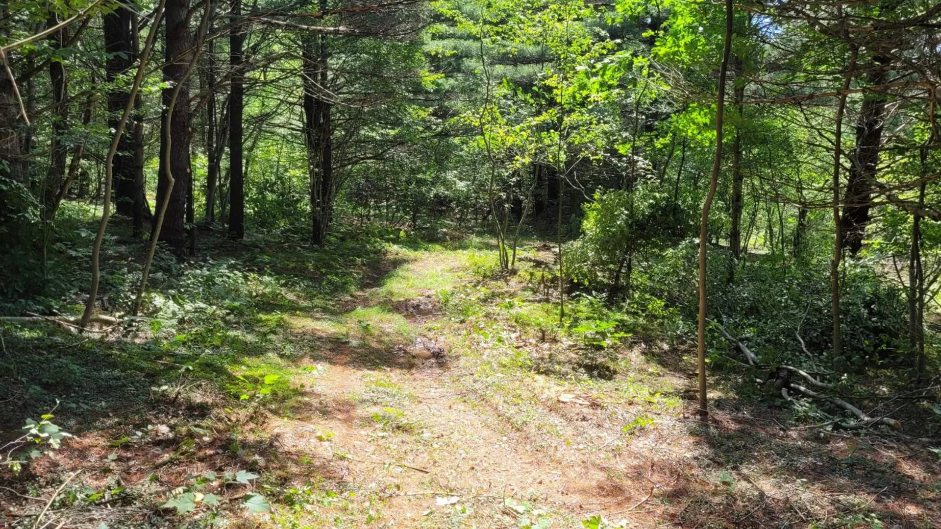 Property at 00 Arnoldville Rd, Diana, NY 13648 11