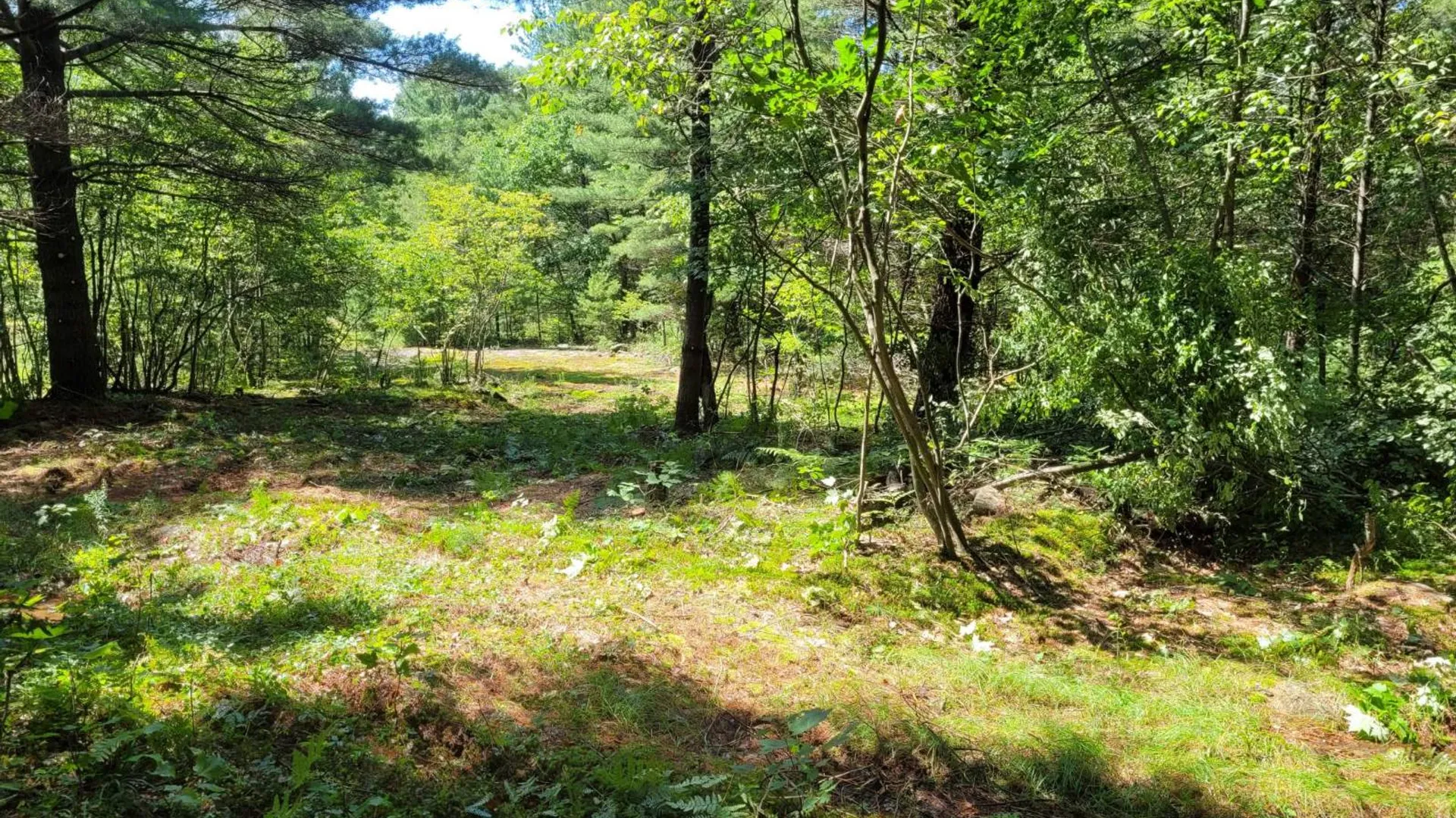 Property at 00 Arnoldville Rd, Diana, NY 13648 12