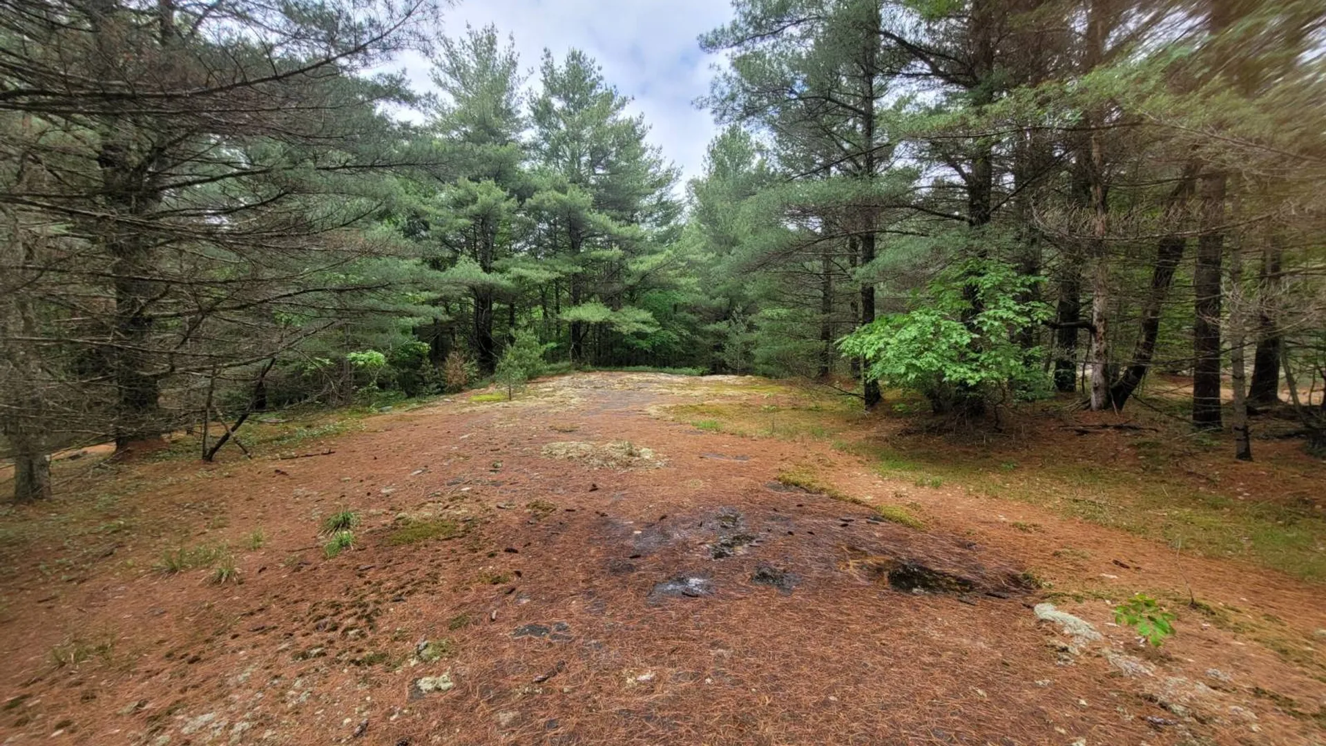 Property at 00 Arnoldville Rd, Diana, NY 13648 13