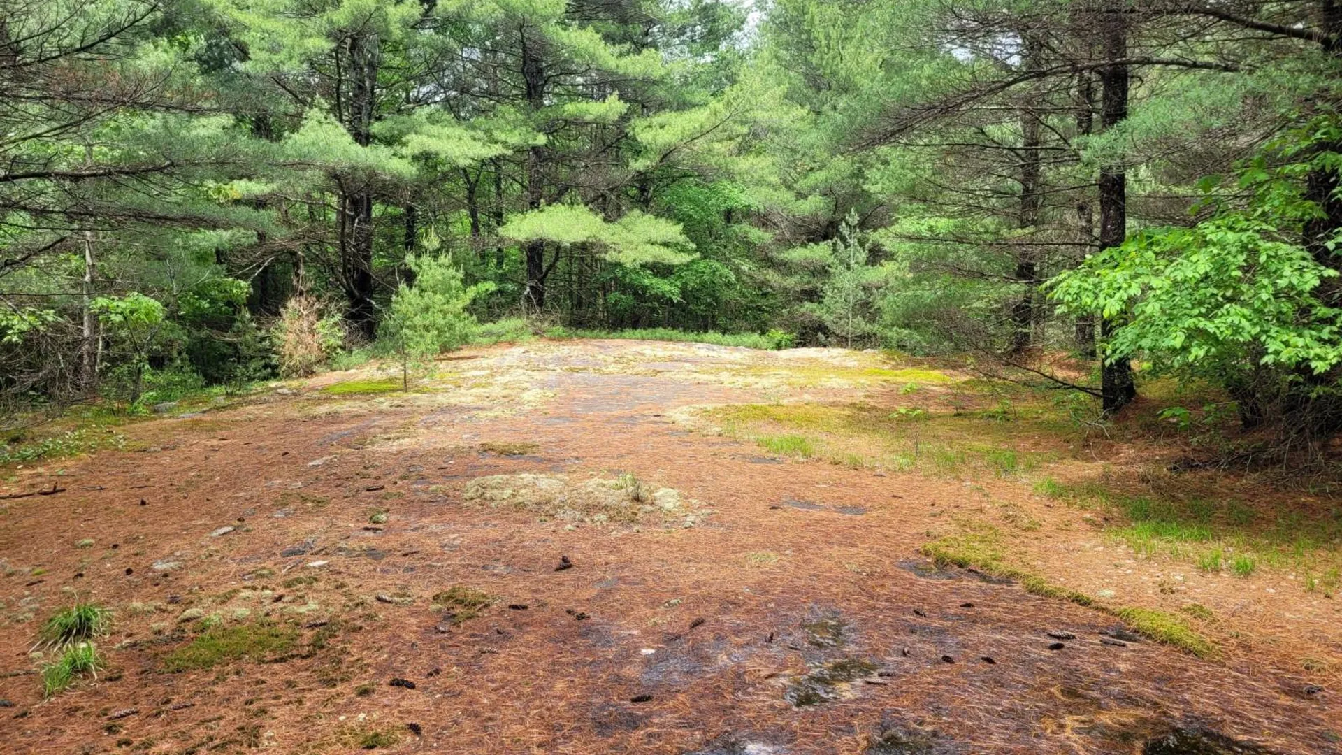 Property at 00 Arnoldville Rd, Diana, NY 13648 14