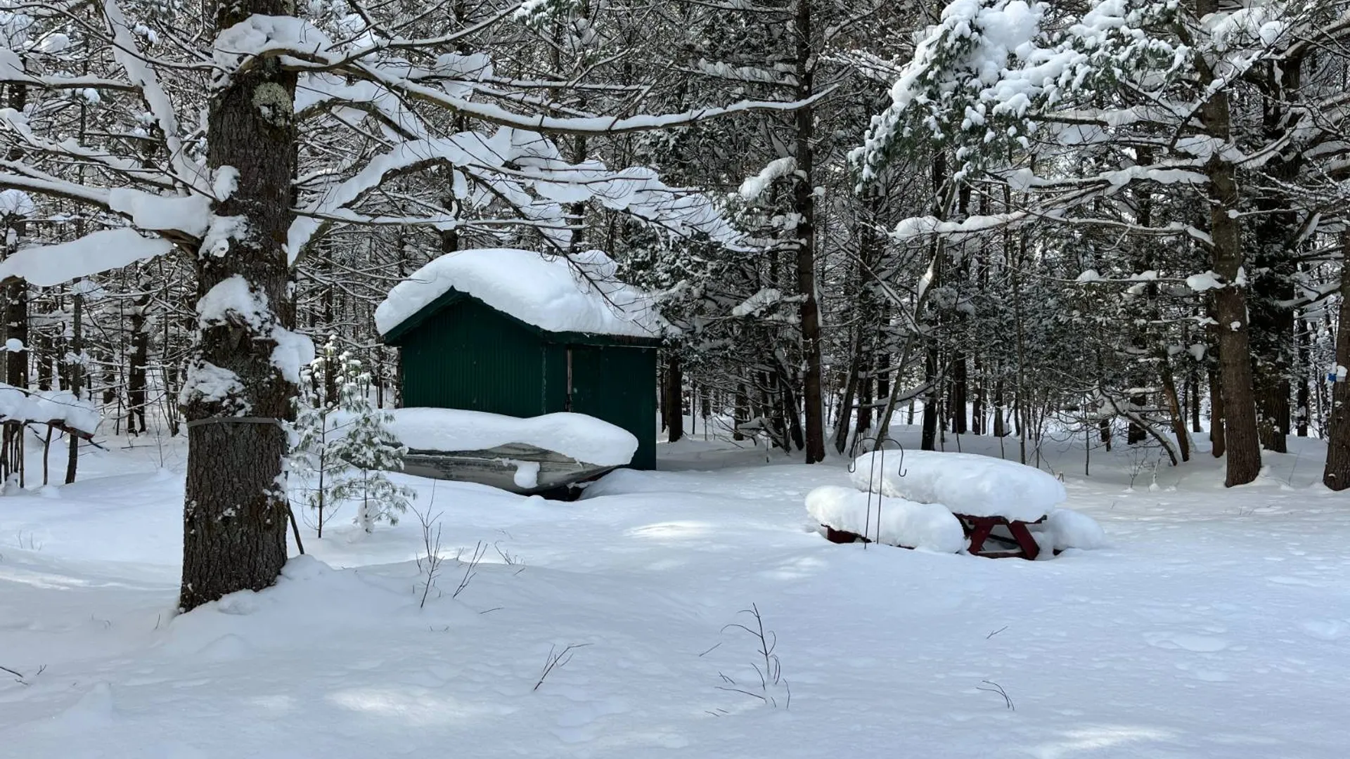 Property at 00 Arnoldville Rd, Diana, NY 13648 15