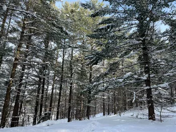 Property at 00 Arnoldville Rd, Diana, NY 13648