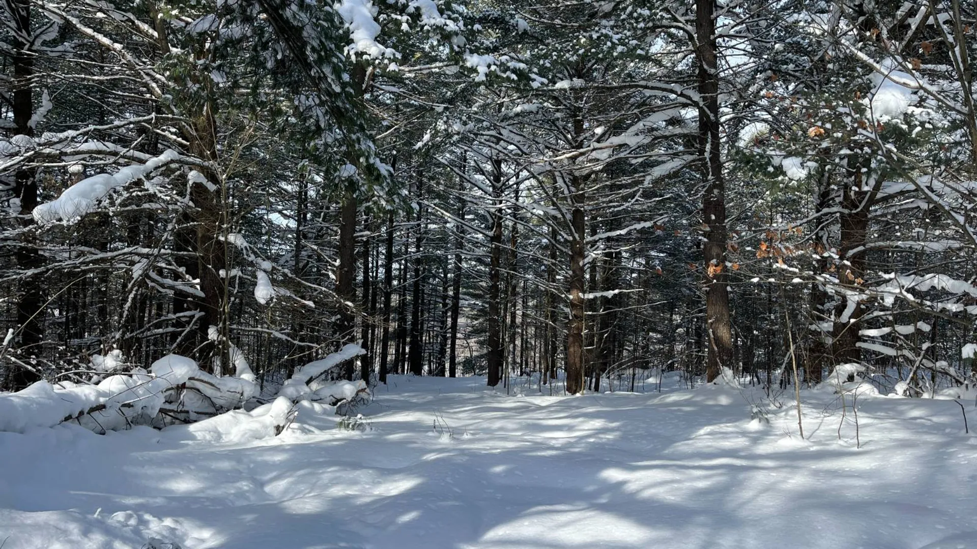 Property at 00 Arnoldville Rd, Diana, NY 13648 2