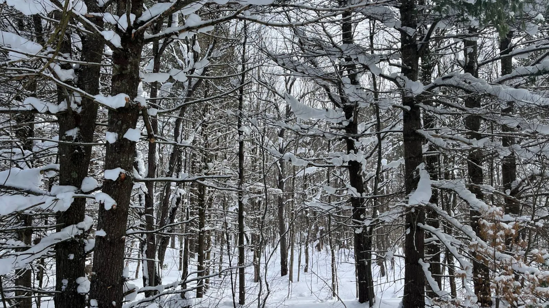 Property at 00 Arnoldville Rd, Diana, NY 13648 22