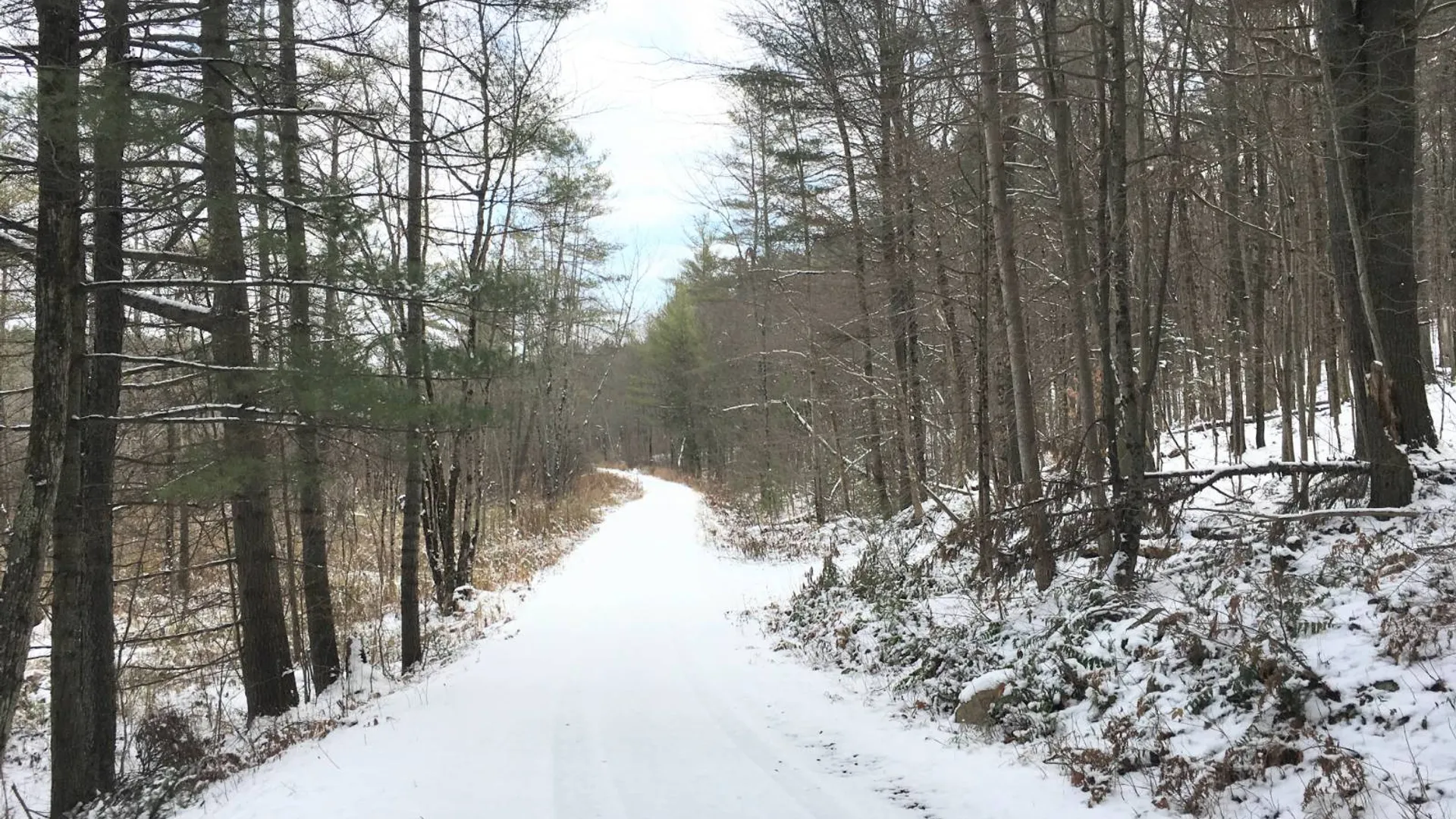 Property at 00 Arnoldville Rd, Diana, NY 13648 25