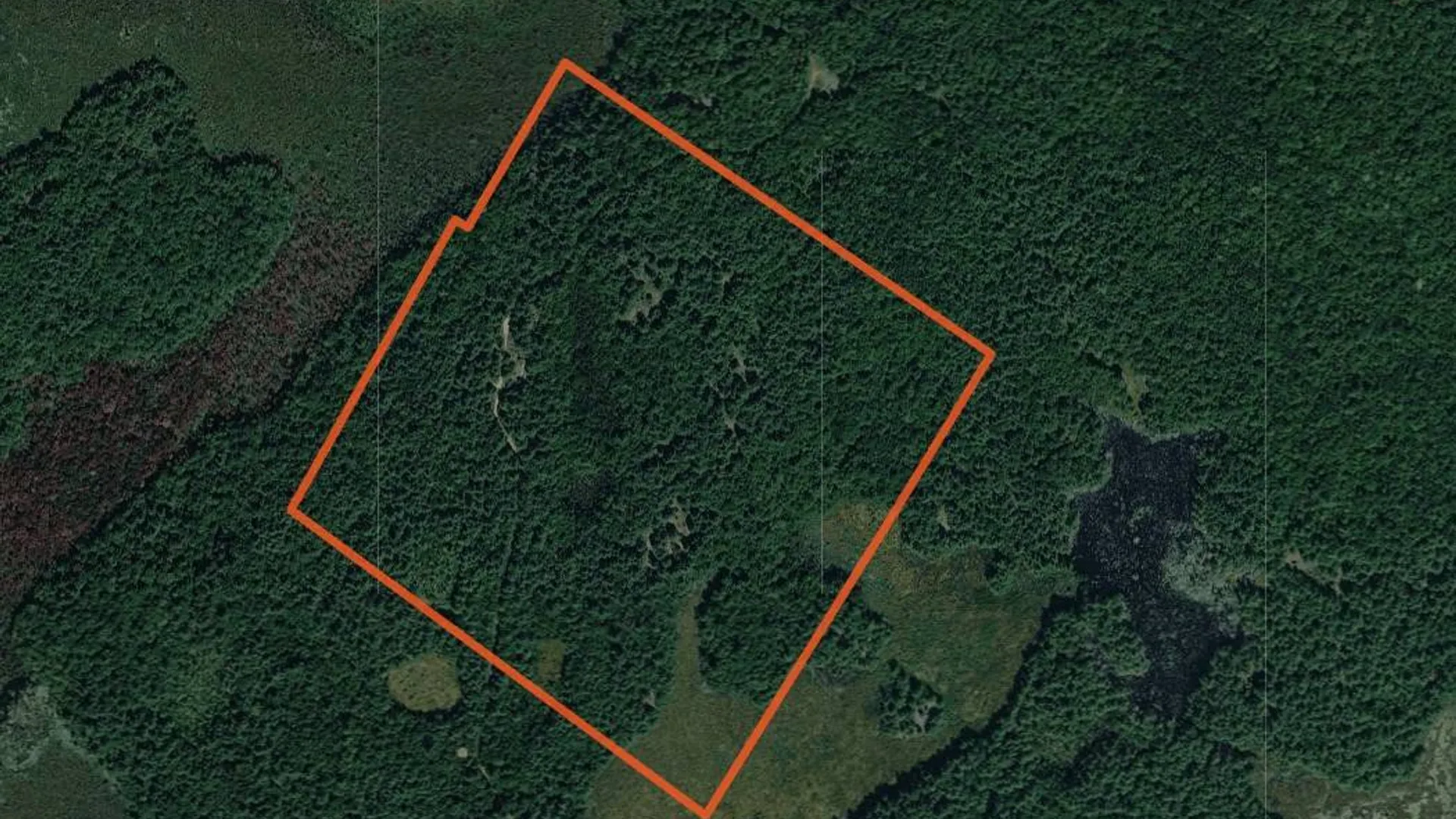 Property at 00 Arnoldville Rd, Diana, NY 13648 5