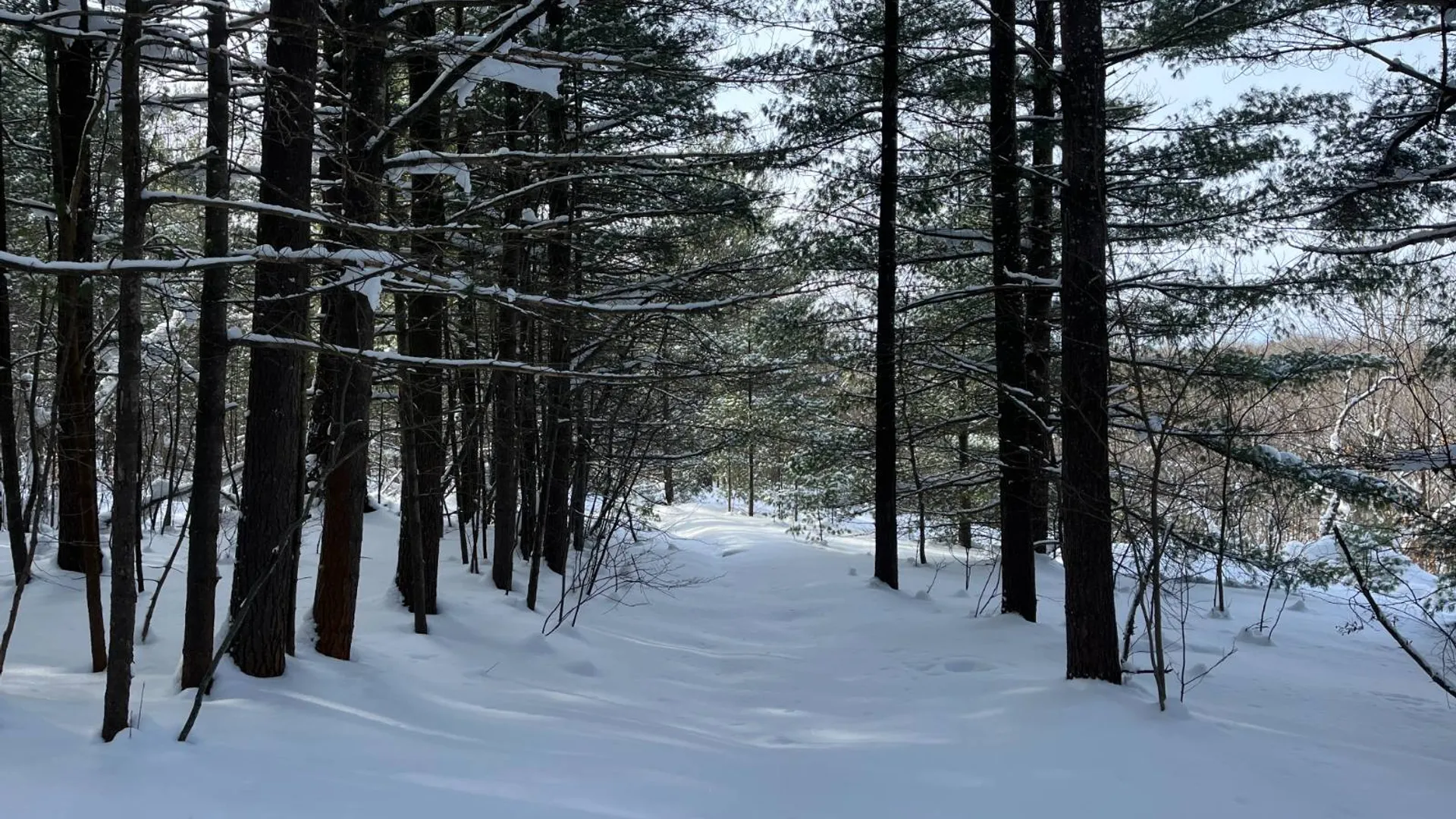 Property at 00 Arnoldville Rd, Diana, NY 13648 6