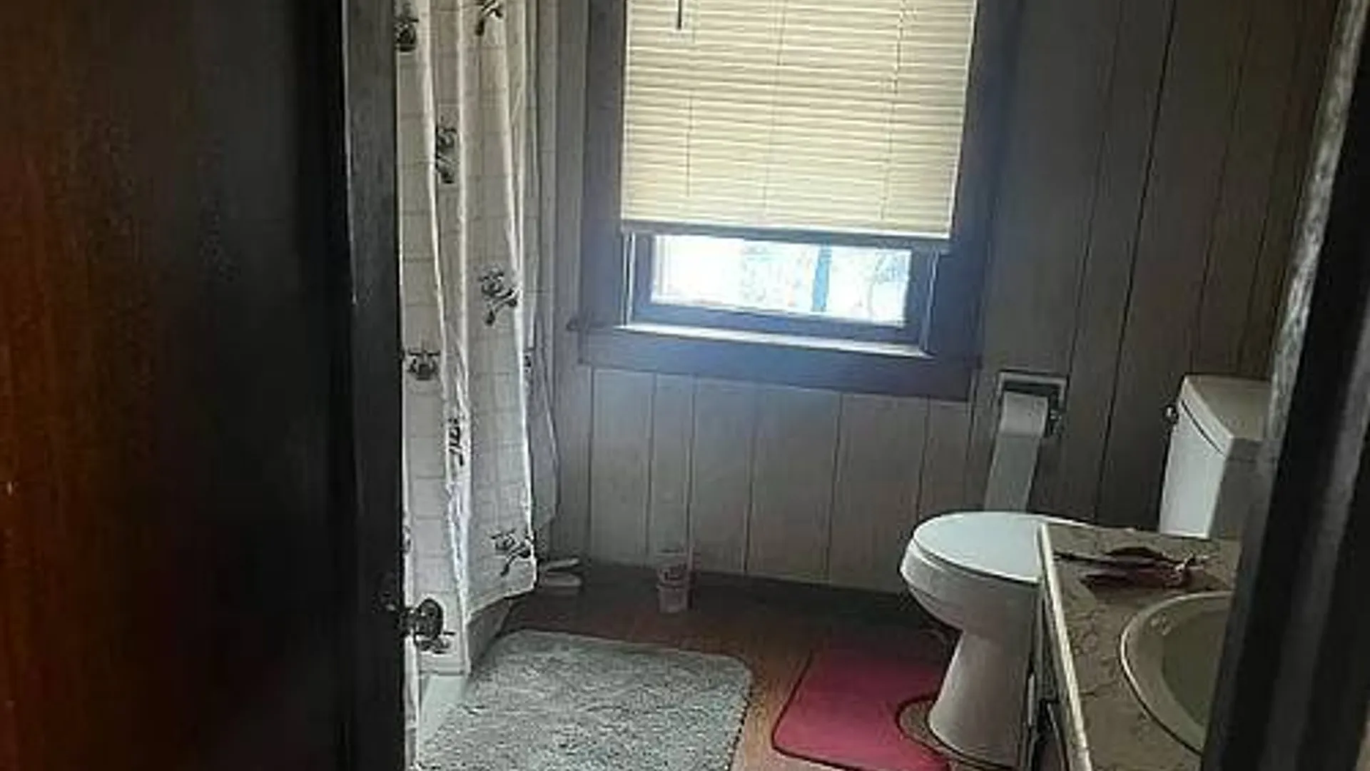 Property at 218 Chestnut St, Elmira, NY 14904 11