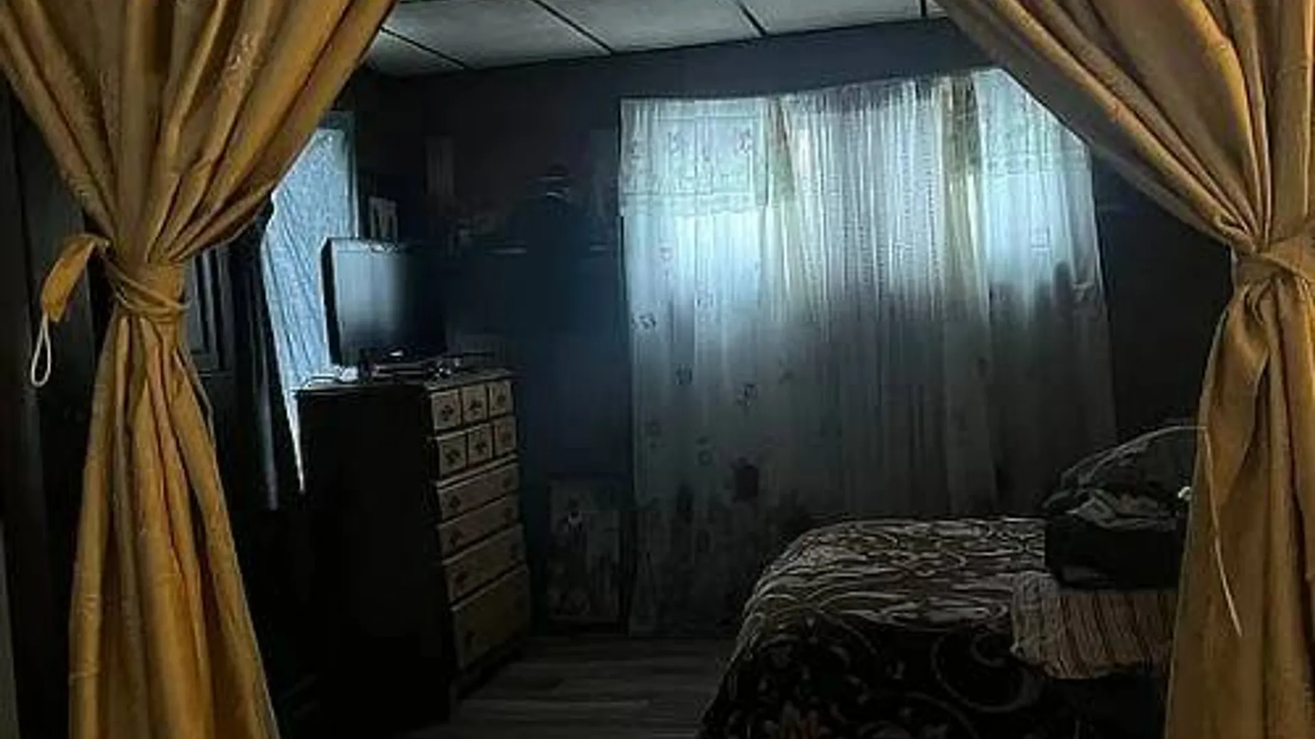 Property at 218 Chestnut St, Elmira, NY 14904 13