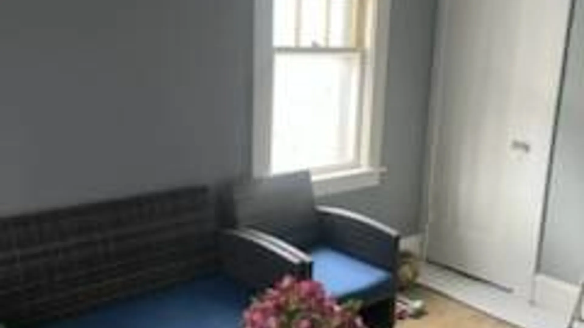 Property at 218 Chestnut St, Elmira, NY 14904 14