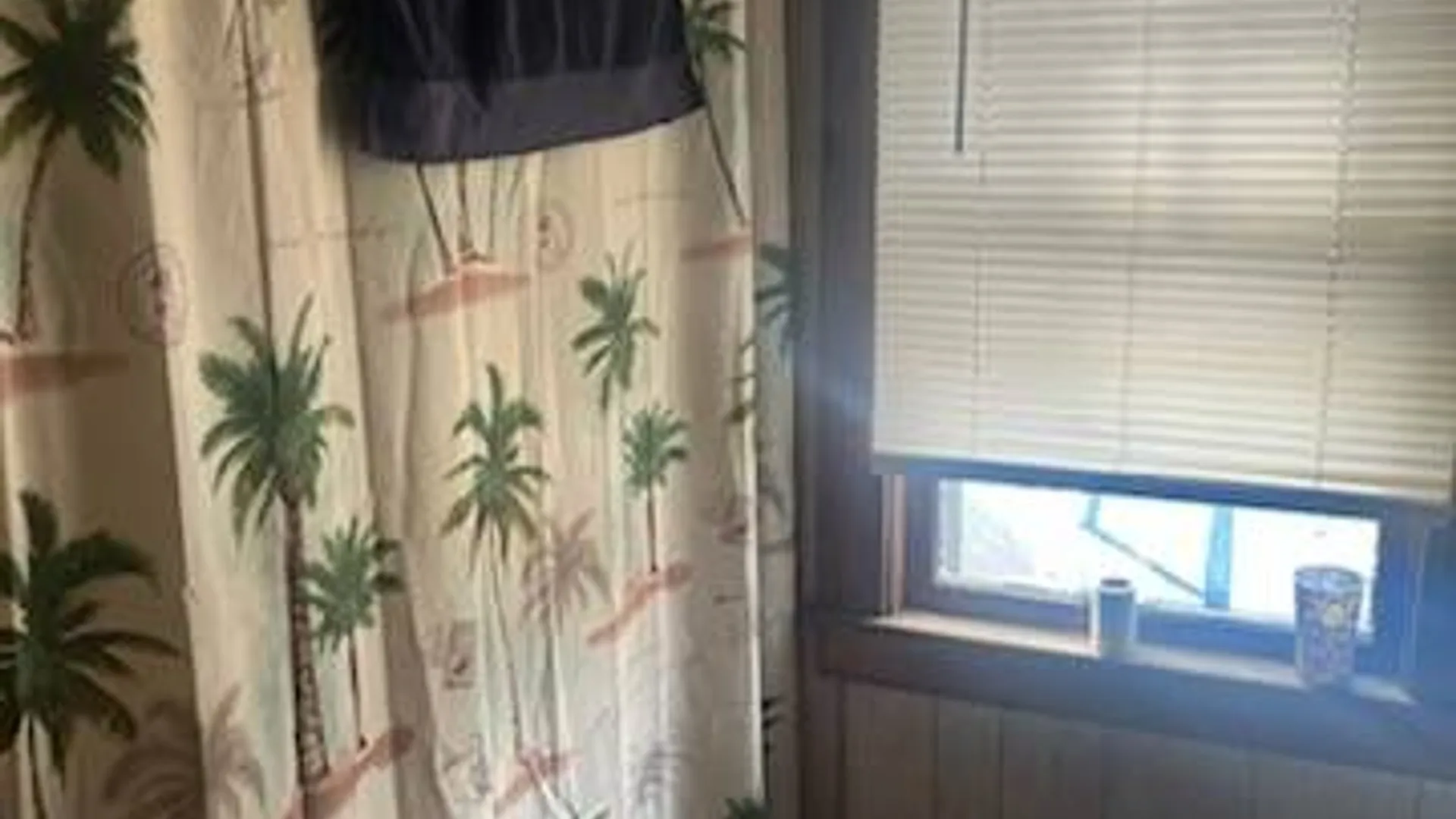 Property at 218 Chestnut St, Elmira, NY 14904 15