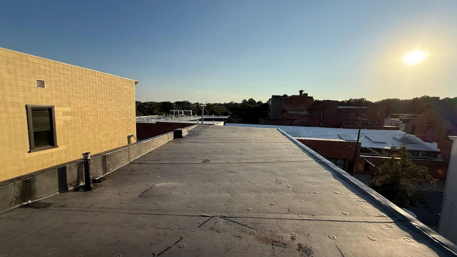 Property at 157 Myrtle Ave, Albany, NY 12202 26