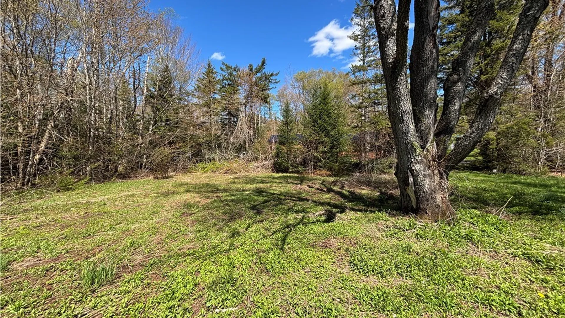 Property at 3960 Susquehannah Street, Remsen, NY 13438 12