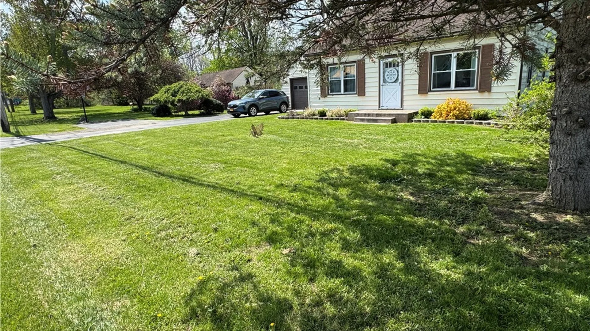 Property at 13974 Route 62, Collins, NY 14034 2