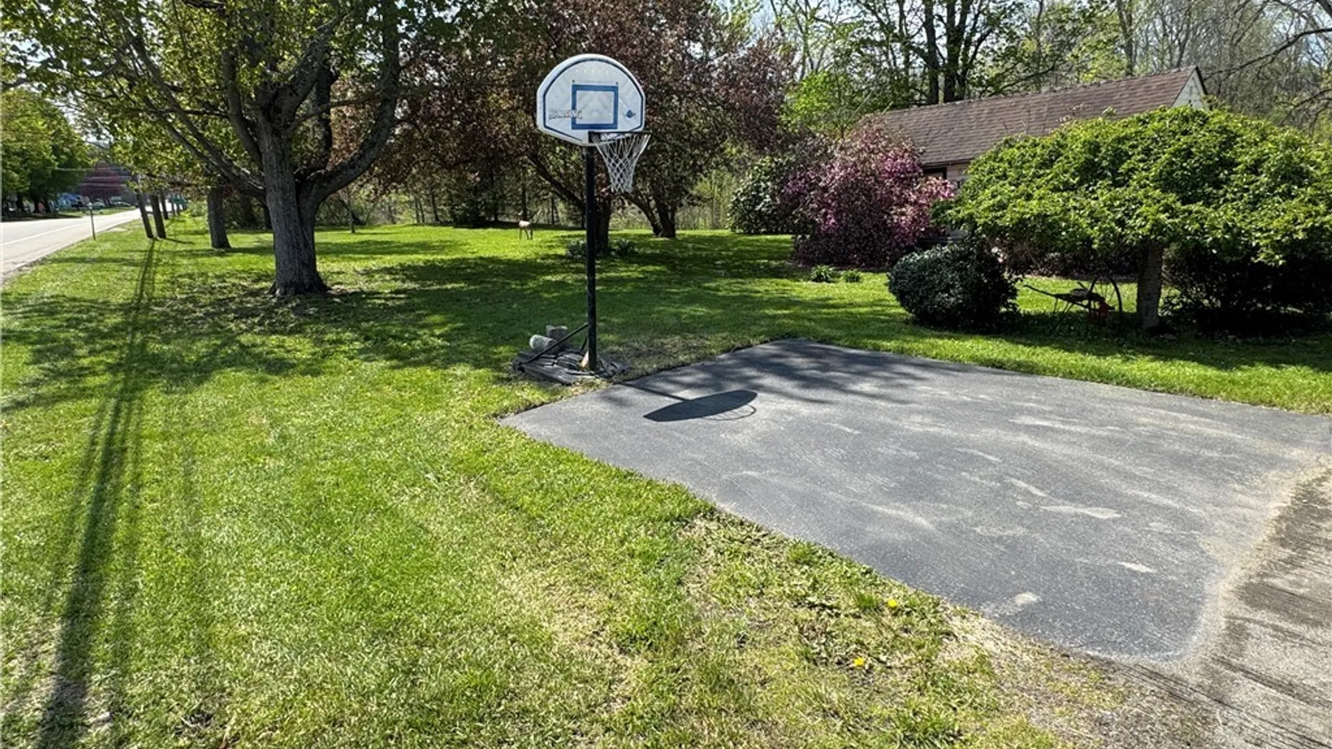 Property at 13974 Route 62, Collins, NY 14034 5