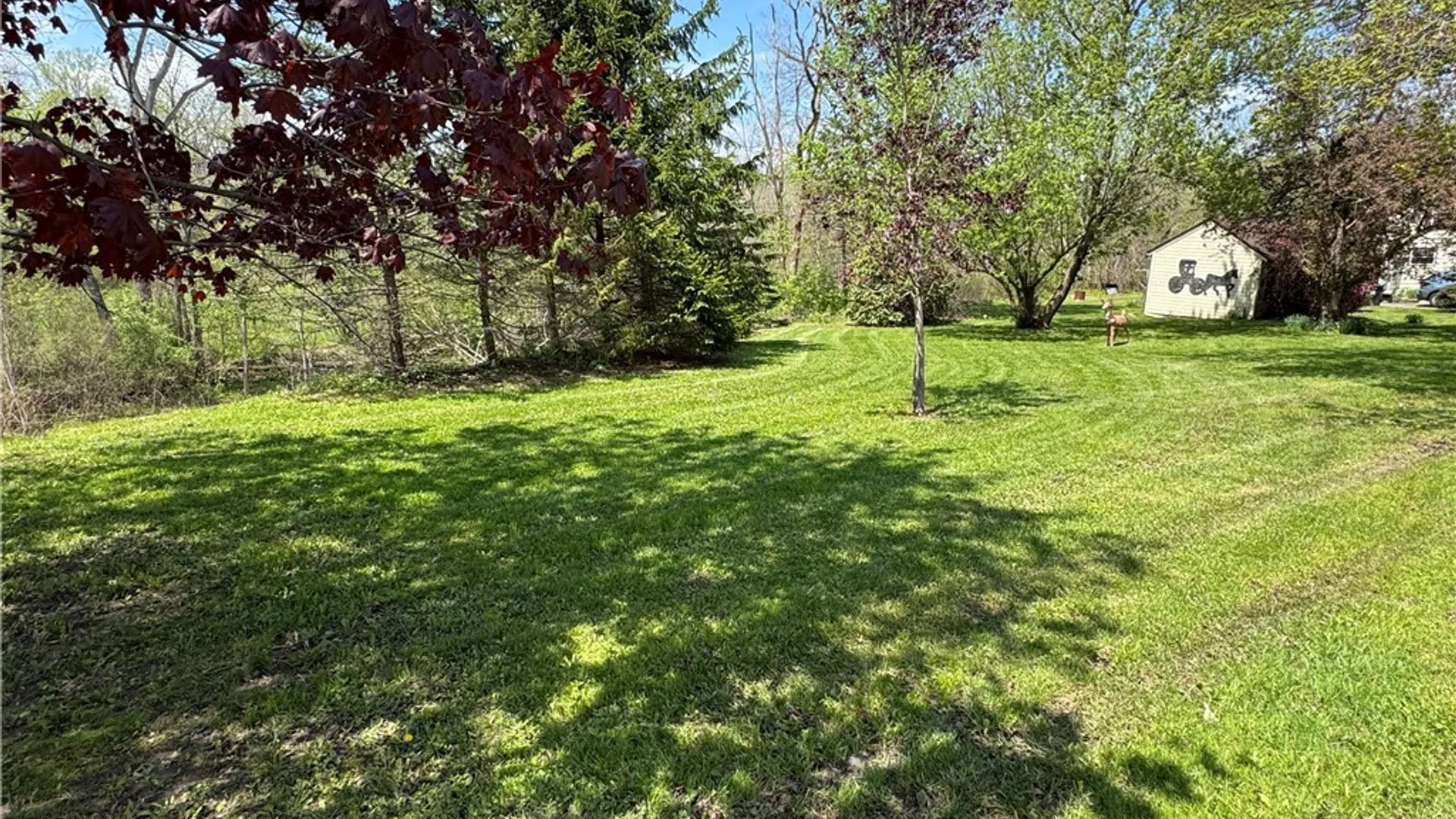 Property at 13974 Route 62, Collins, NY 14034 6