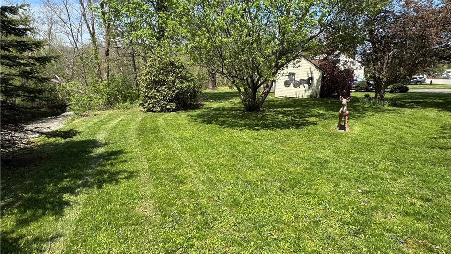 Property at 13974 Route 62, Collins, NY 14034 8