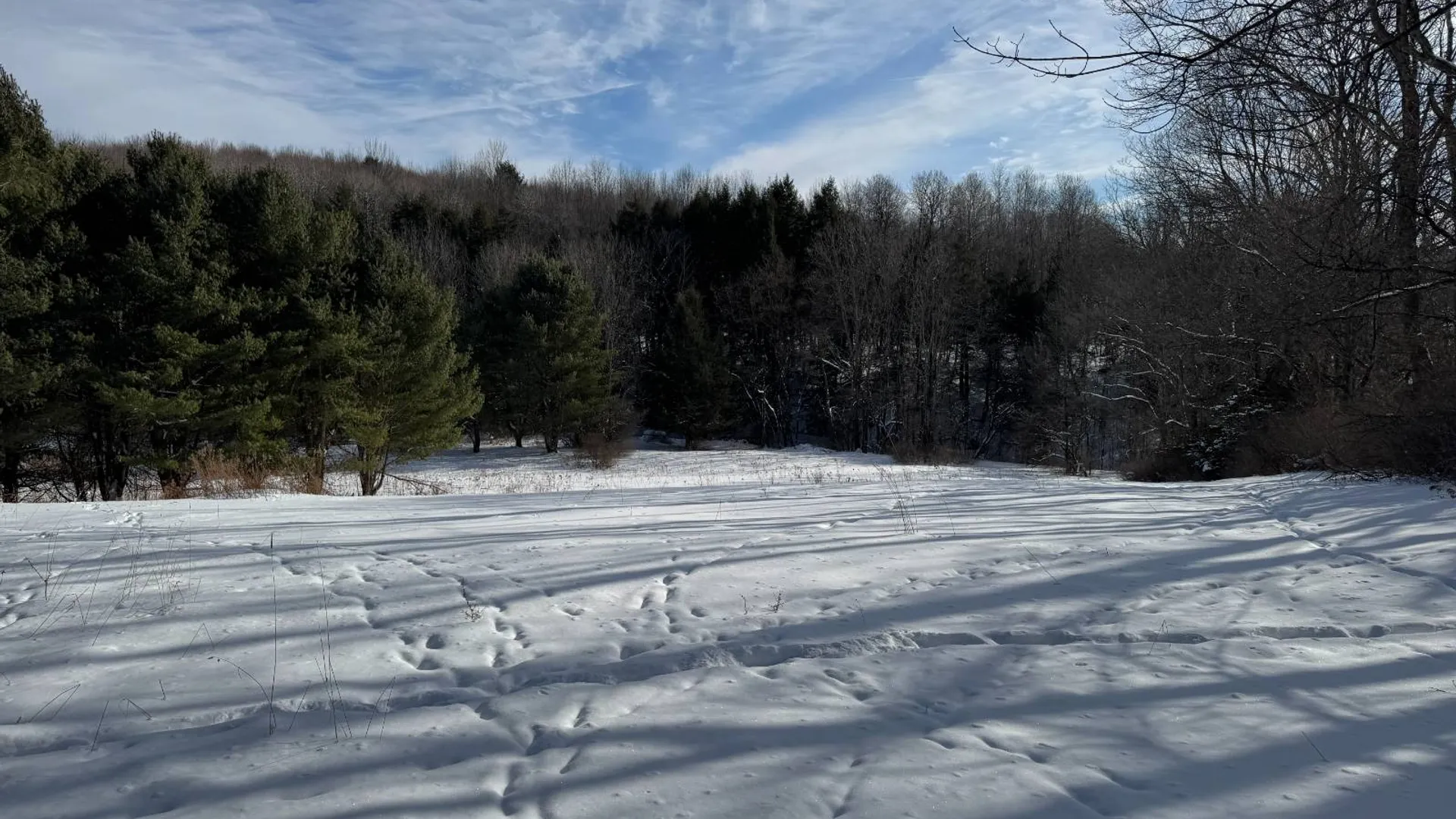 Property at 1894 County Highway 19, Burlington Flats, NY 13315 11