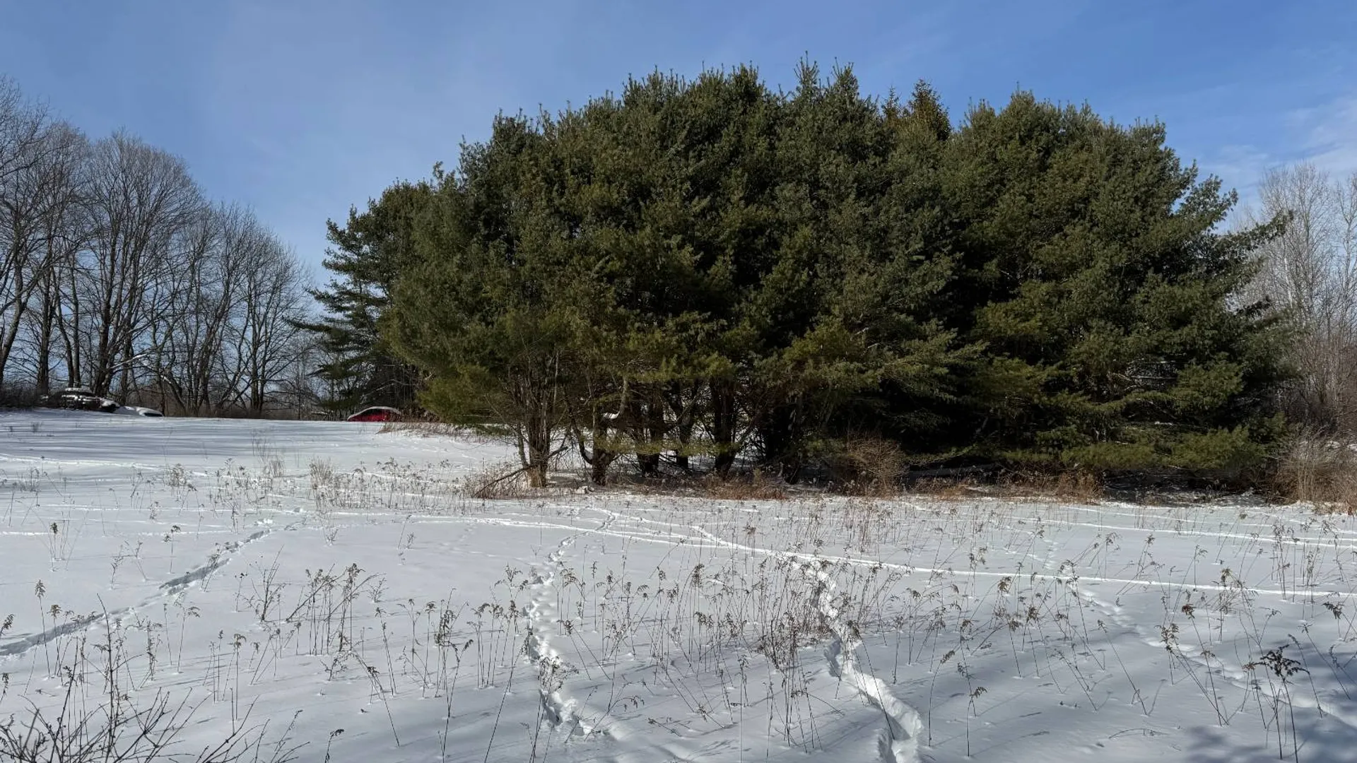 Property at 1894 County Highway 19, Burlington Flats, NY 13315 17
