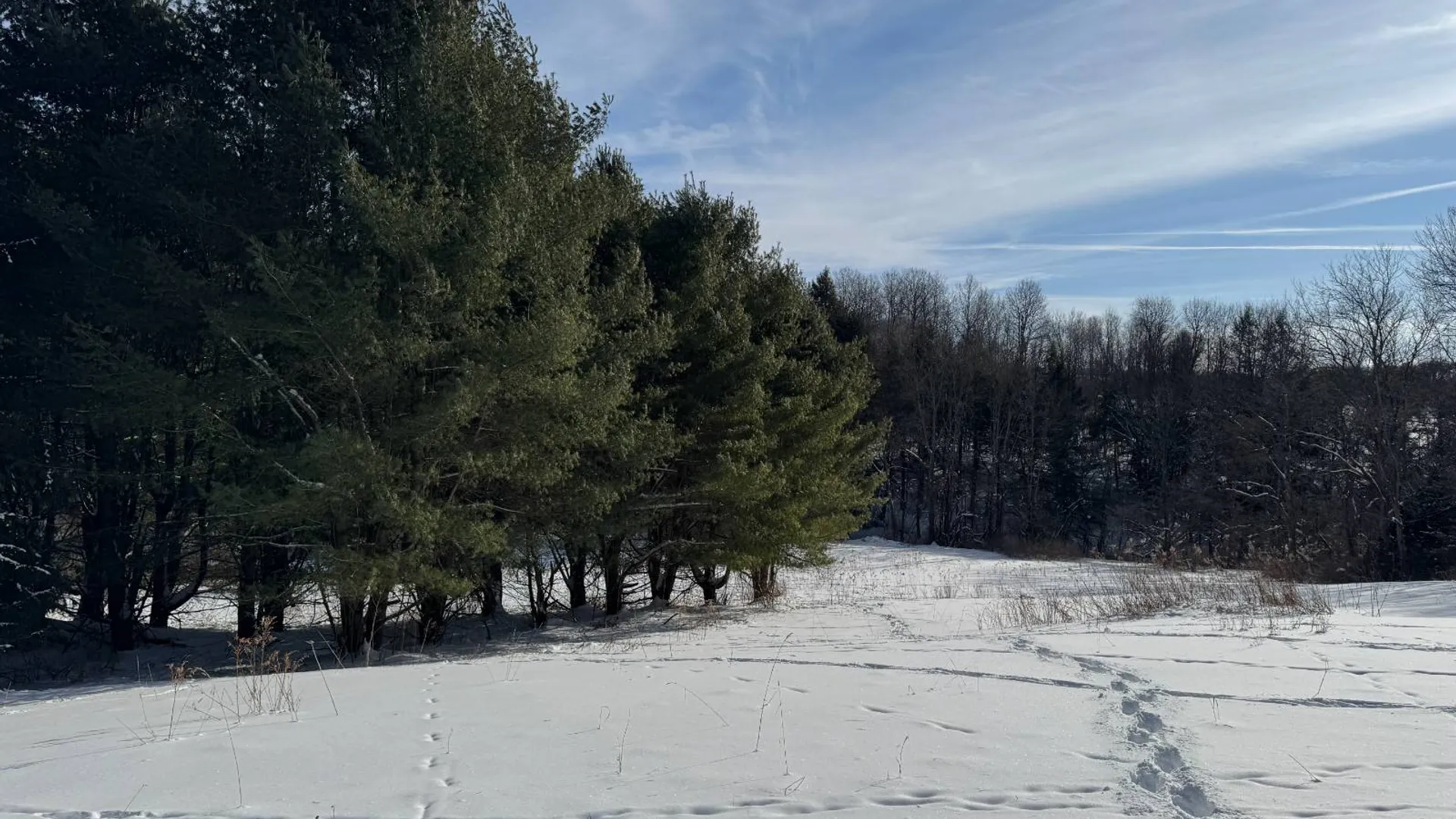 Property at 1894 County Highway 19, Burlington Flats, NY 13315 18