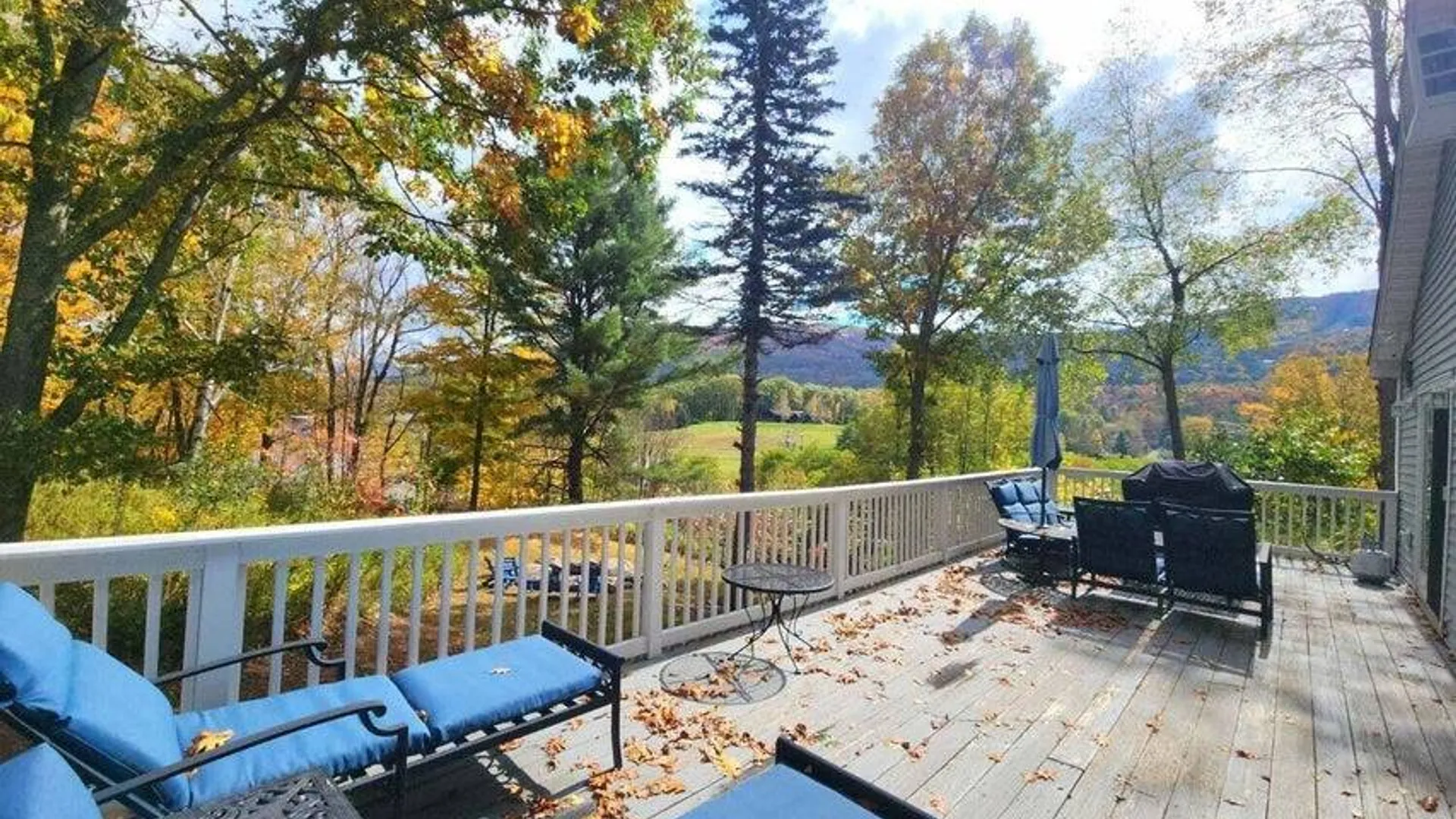 Property at 16 Hickory Hill rd, Windham, NY 12496 20