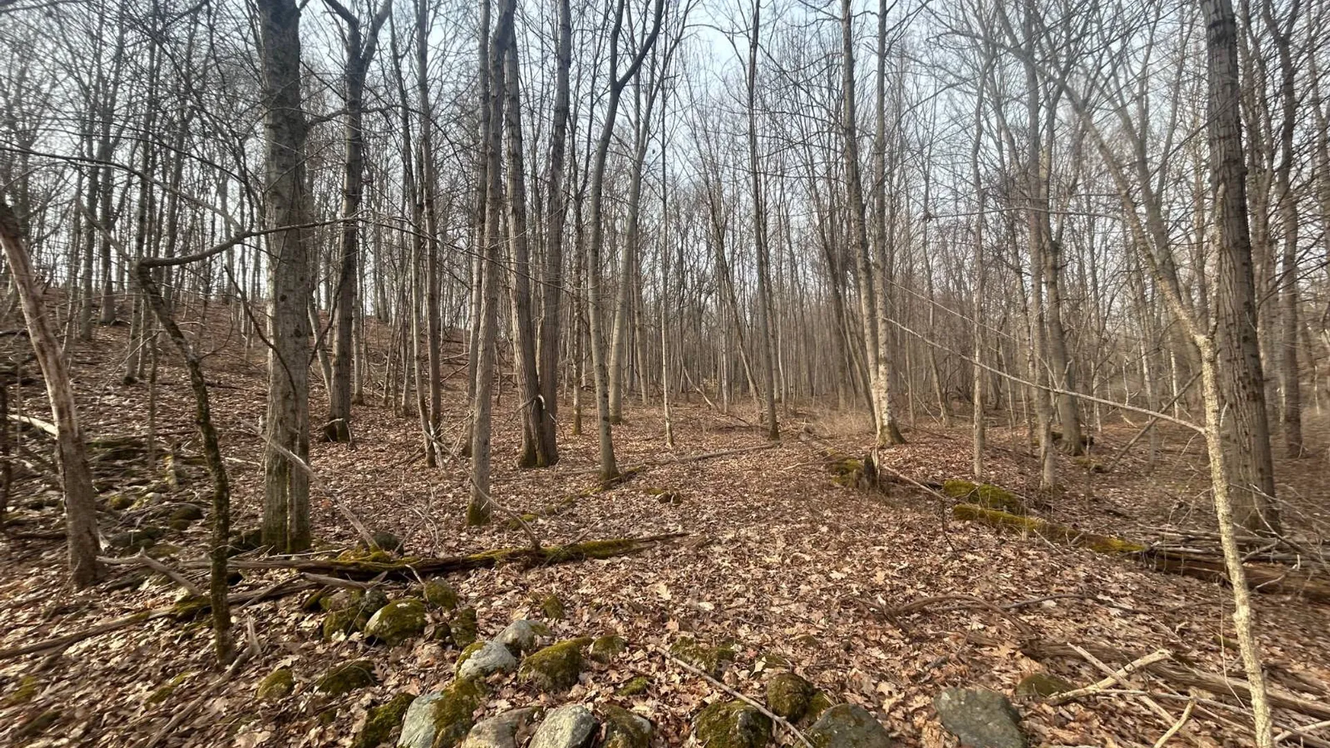 Property at 155 Abraham Road, Amsterdam, NY 12010 11