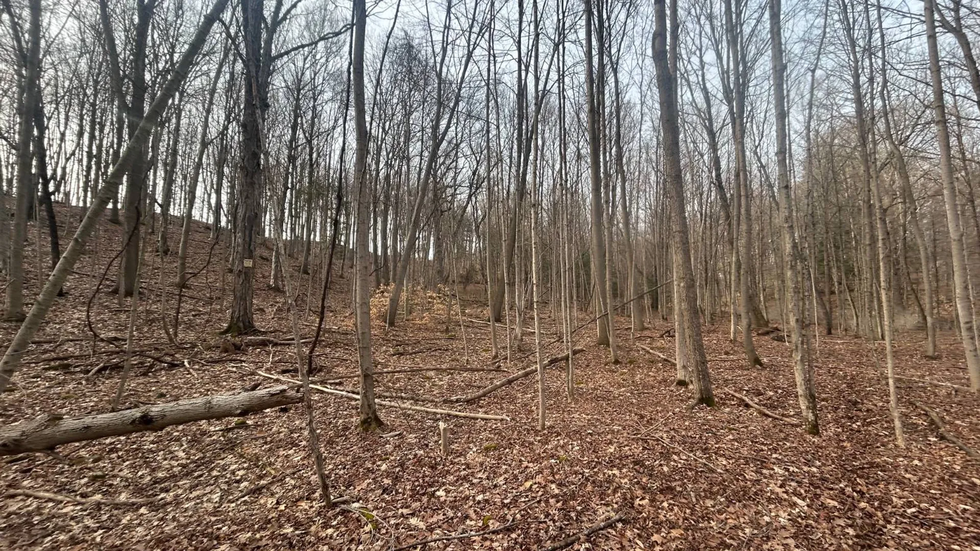 Property at 155 Abraham Road, Amsterdam, NY 12010 12