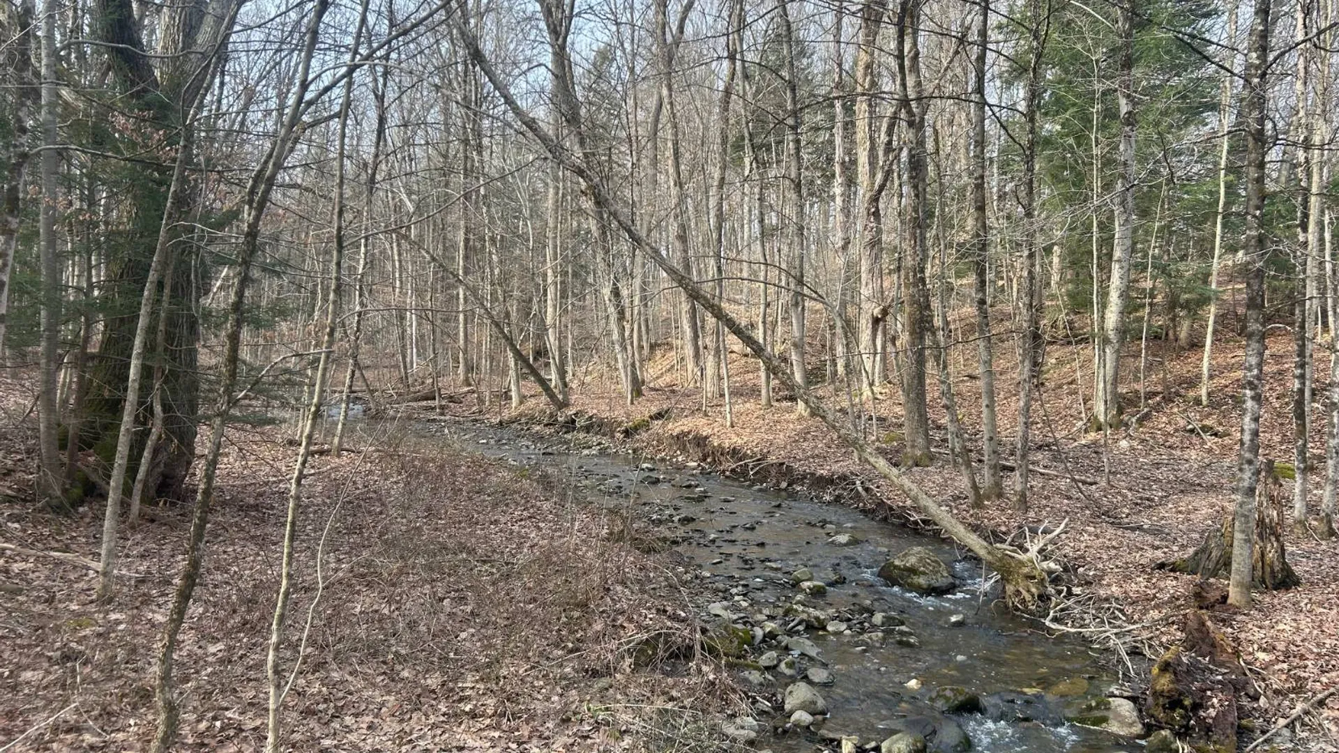 Property at 155 Abraham Road, Amsterdam, NY 12010 13