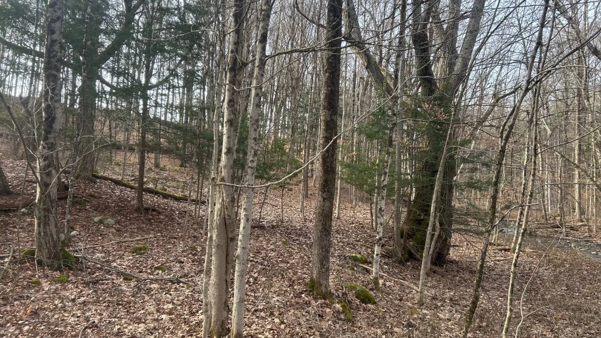 Property at 155 Abraham Road, Amsterdam, NY 12010 14