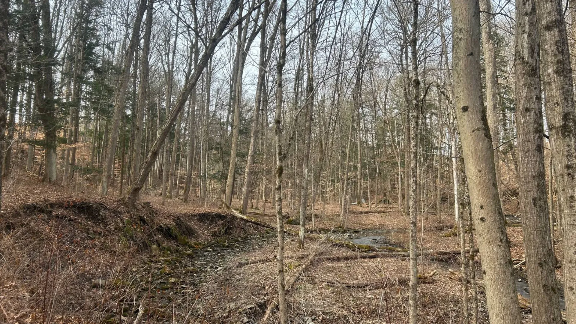 Property at 155 Abraham Road, Amsterdam, NY 12010 16