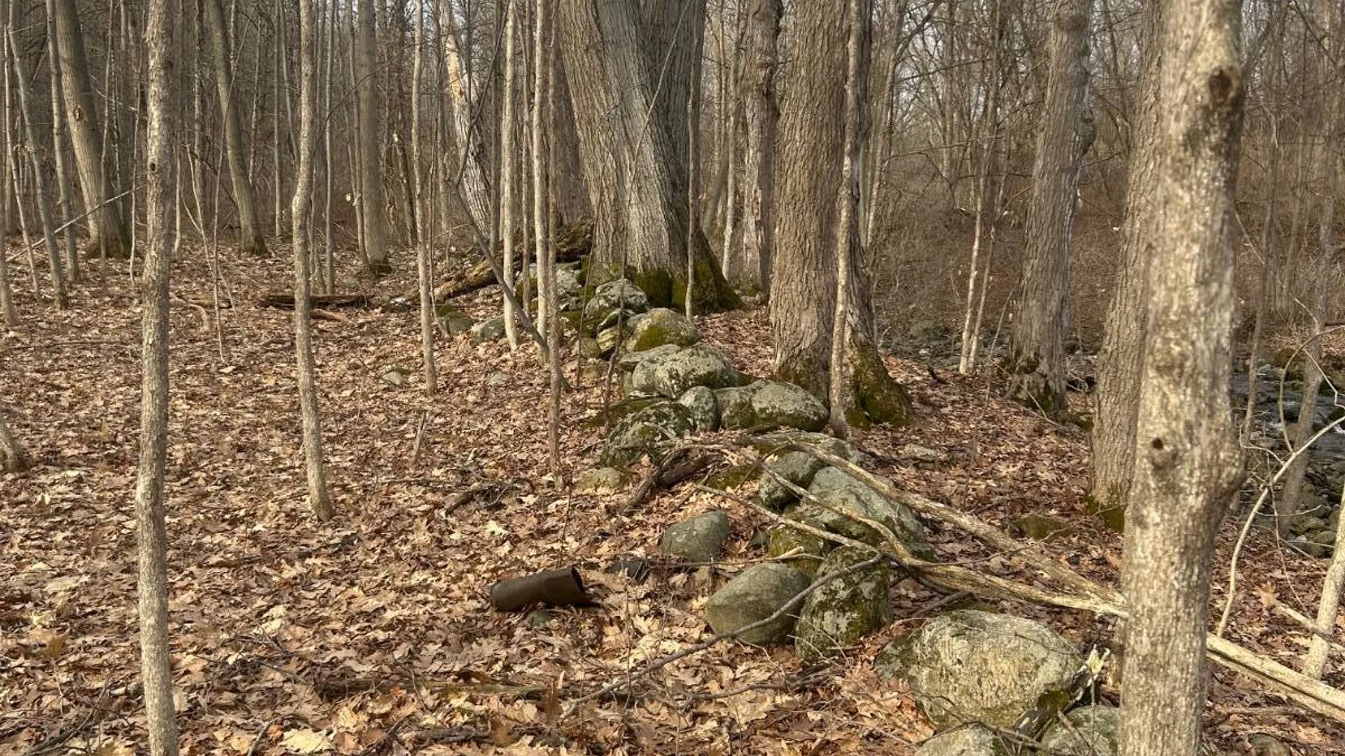 Property at 155 Abraham Road, Amsterdam, NY 12010 17