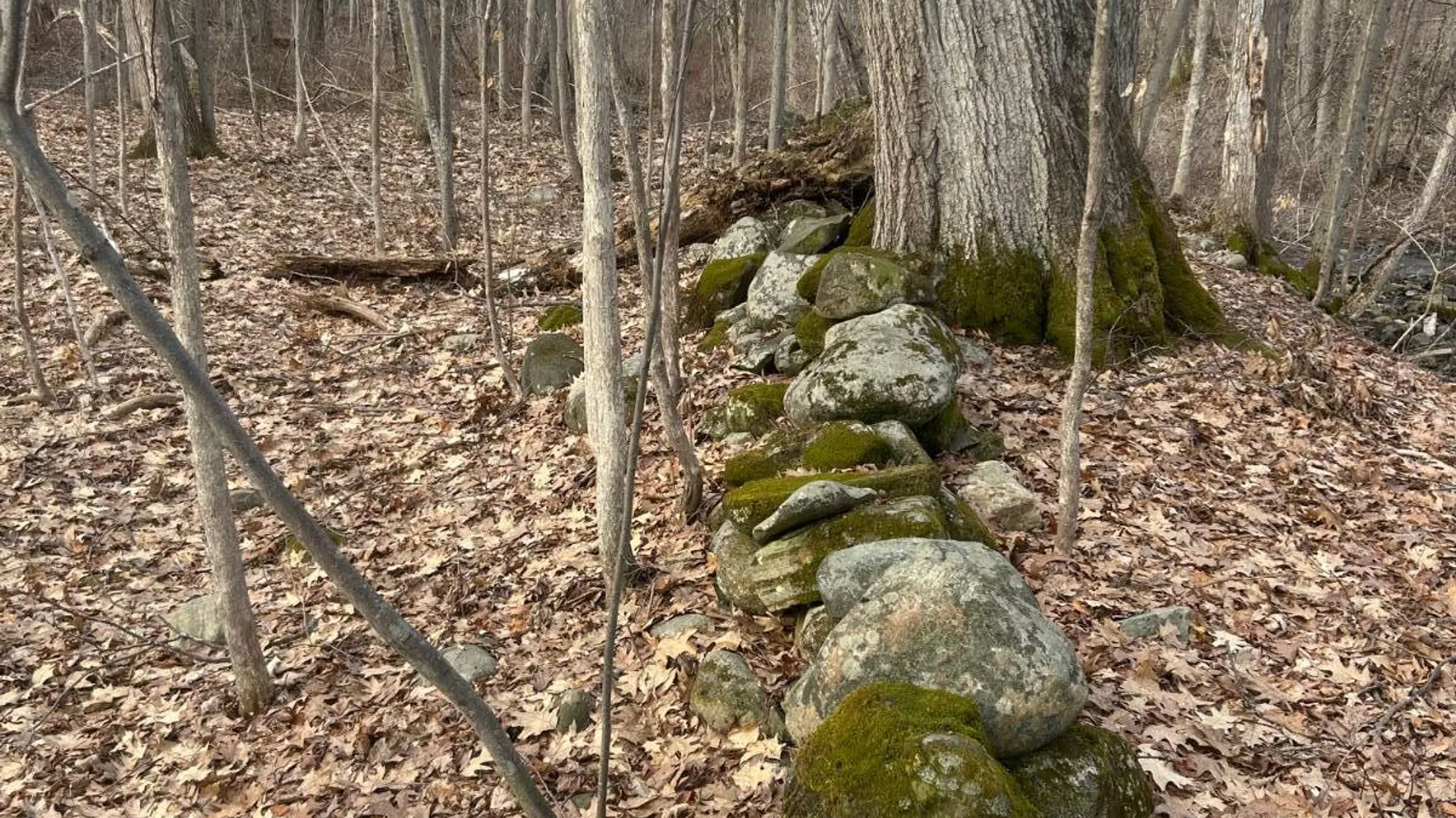 Property at 155 Abraham Road, Amsterdam, NY 12010 18