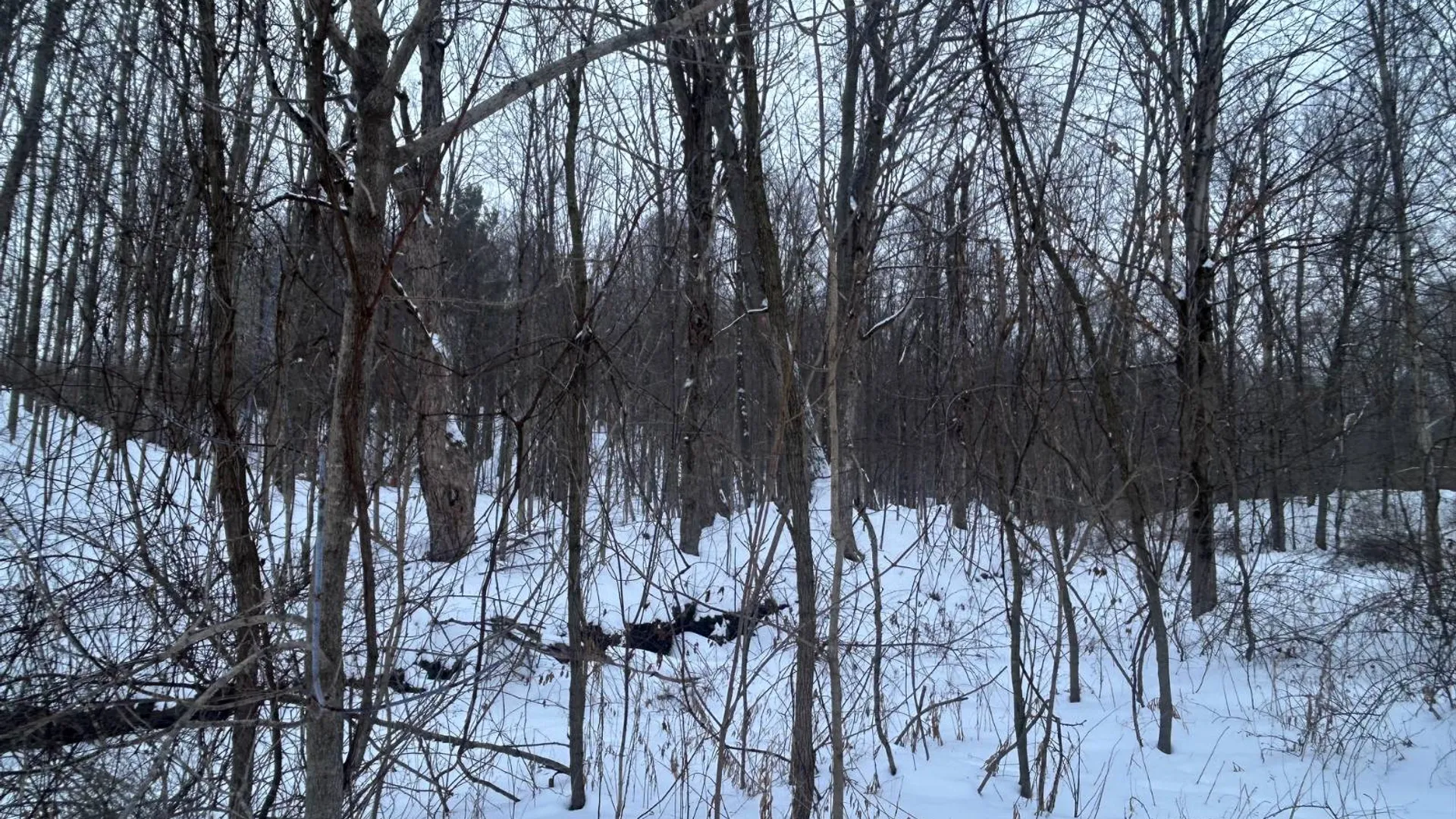 Property at 155 Abraham Road, Amsterdam, NY 12010 5