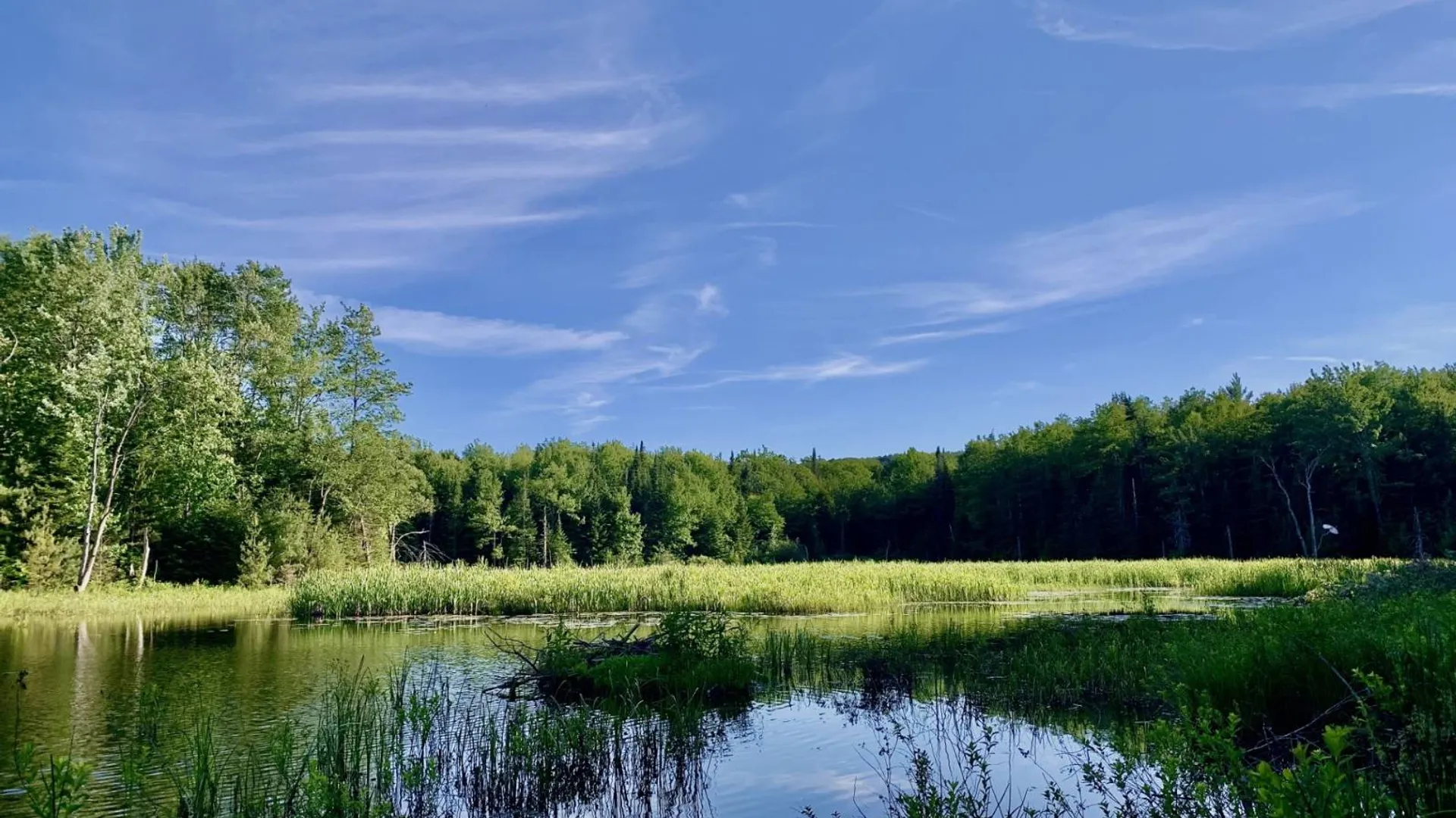 Property at 183 Perkins Mill Rd, Stratford, NY 13470 5