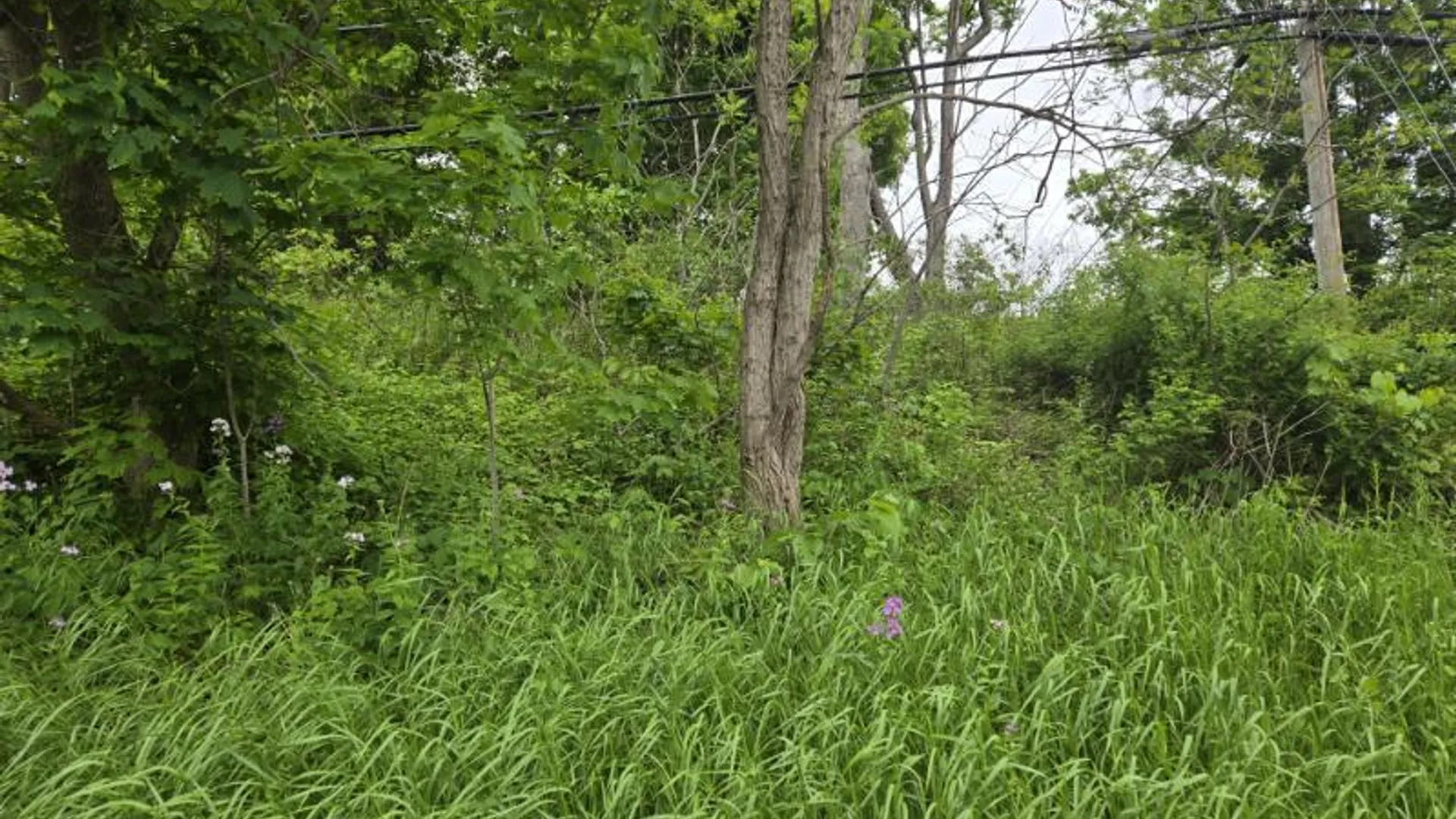 Property at L4 Johnson Road, Glenville, NY 12302 4