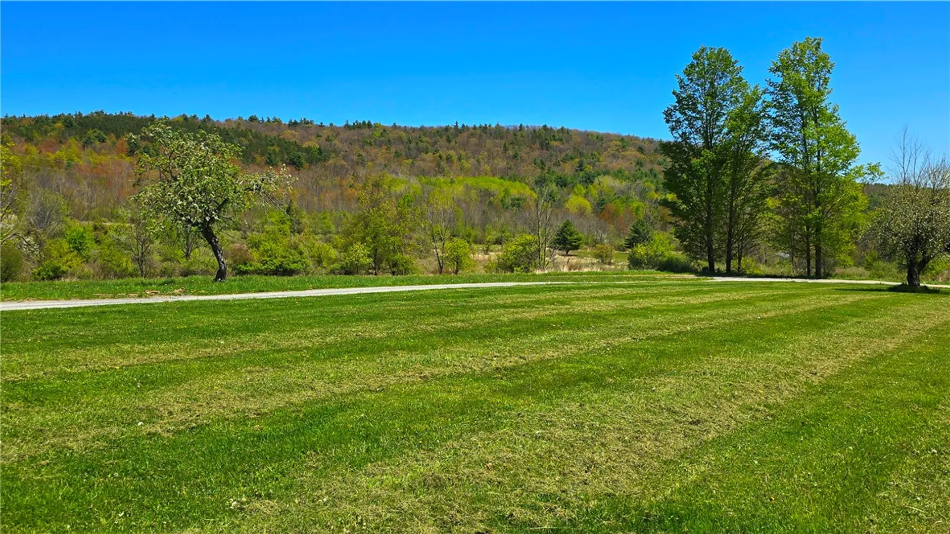 Property at 2171 Ayres Road, South Creek Twp, PA 16925 13