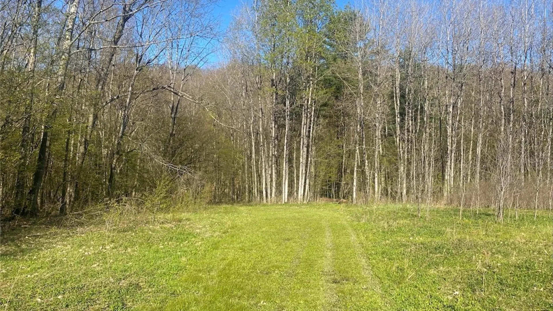 Property at 5492 Pigtail Road, Friendship, NY 14739 18