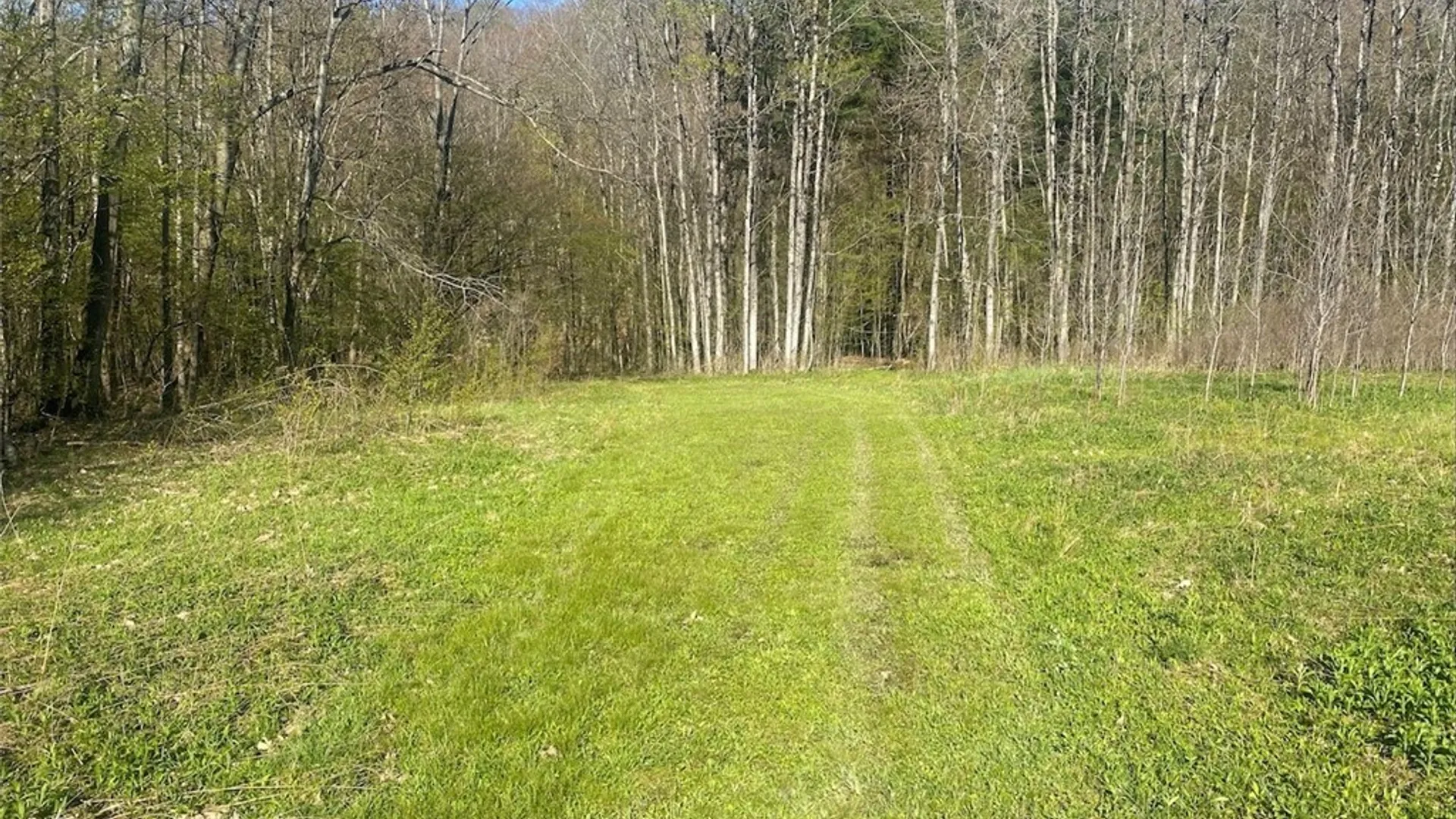Property at 5492 Pigtail Road, Friendship, NY 14739 9