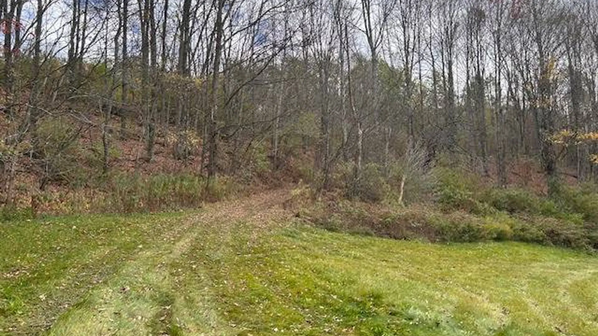 Property at 480 County Highway 37,, Decatur, NY 12197 14