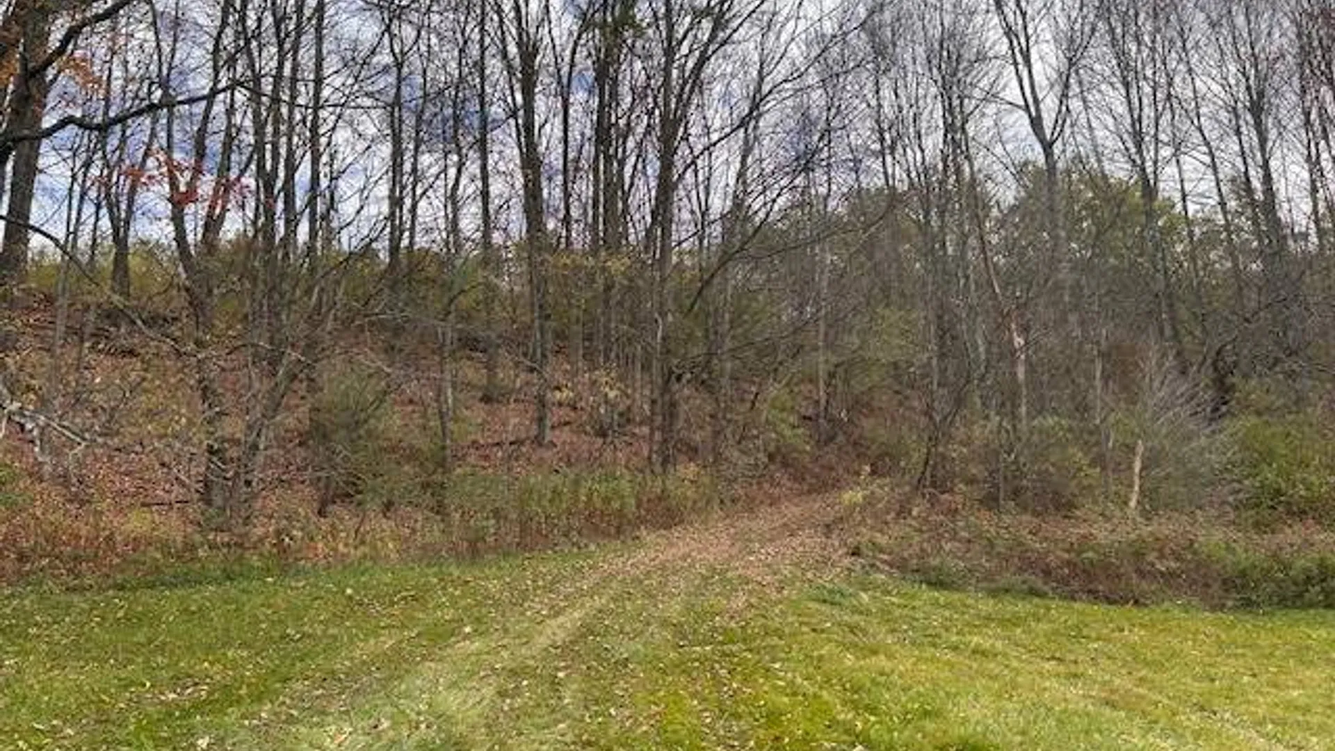 Property at 480 County Highway 37,, Decatur, NY 12197 15