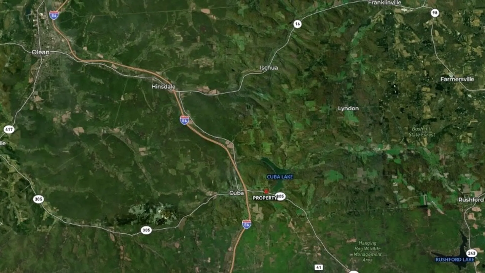 Property at Rt-305, Cuba, NY 14727 16