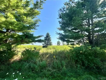 Property at 24458 Dano Road, Theresa, NY 13691