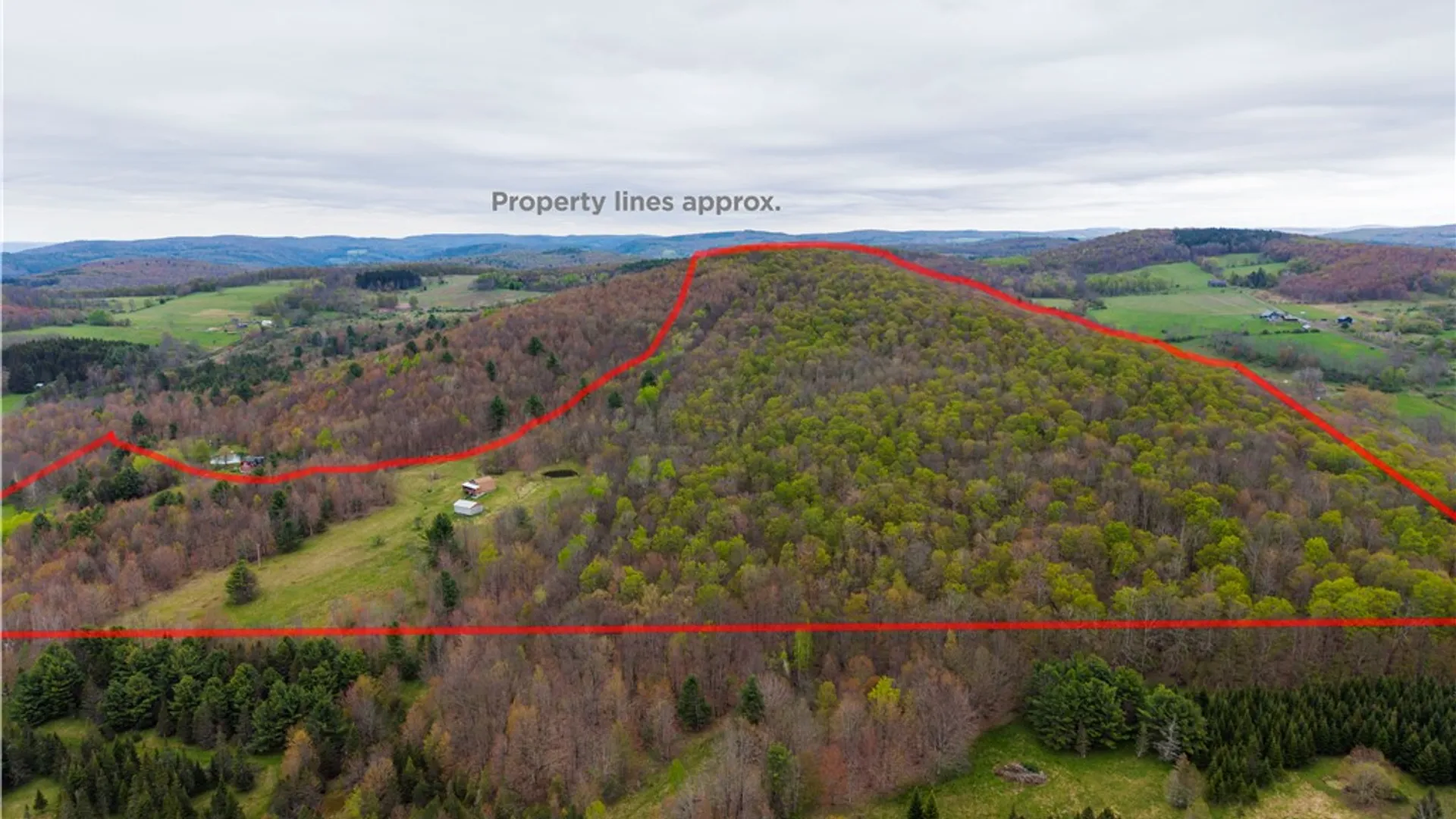 Property at 806 Sunset Trail, Franklin, NY 13820 11