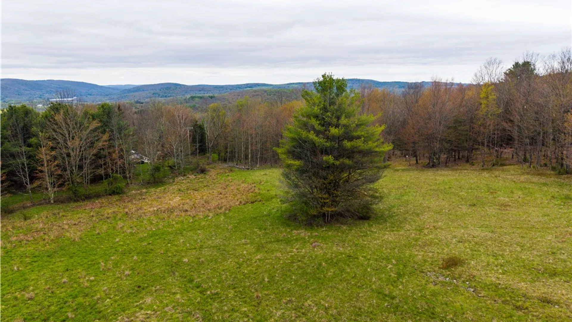 Property at 806 Sunset Trail, Franklin, NY 13820 15