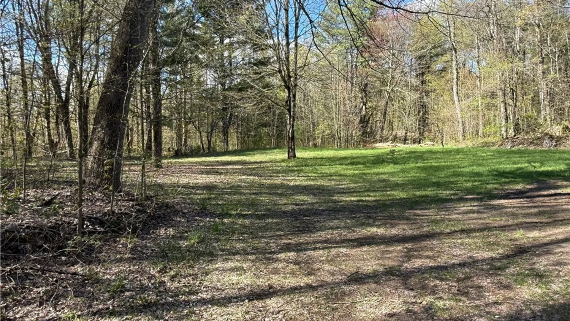 Property at 7063 Richardson Road, Diana, NY 13648 19